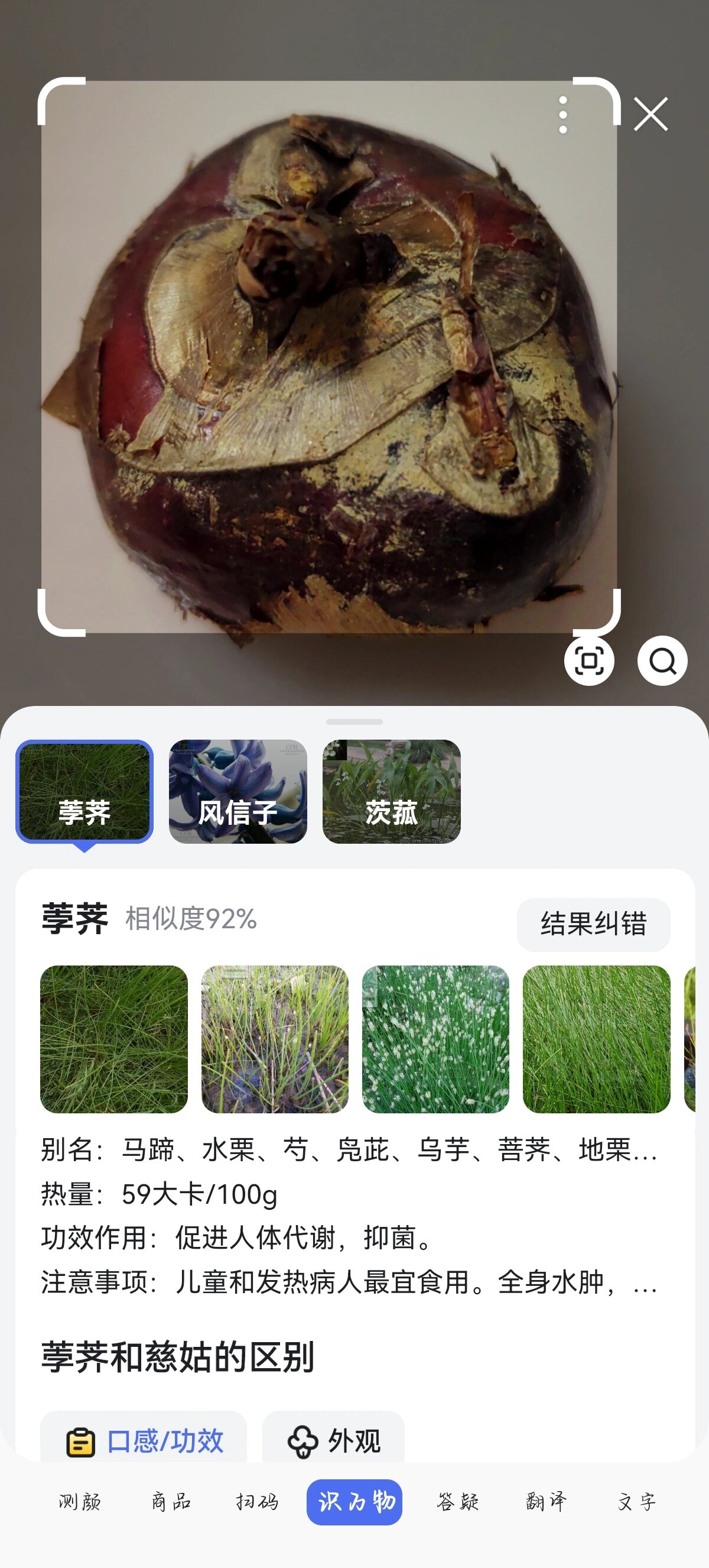 这个水果是全国统一的吗🥹 今天买了一种水果,我们