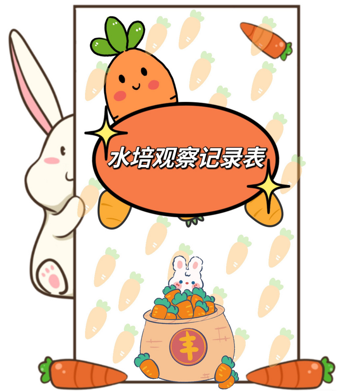 幼儿园原创水培红萝卜观察记录