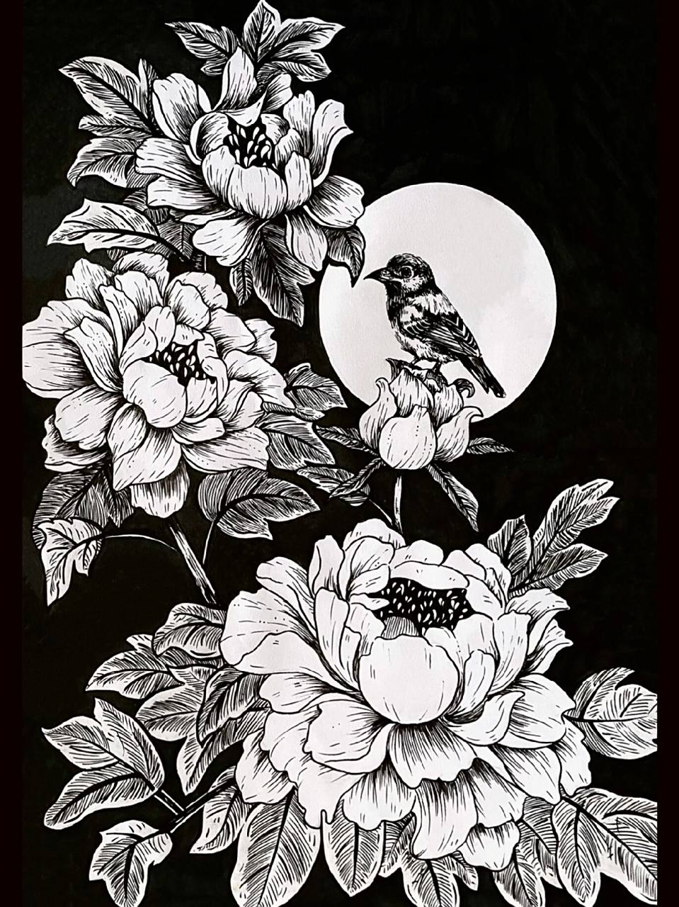 《牡丹花》线描 人中看吕布/花中看牡丹