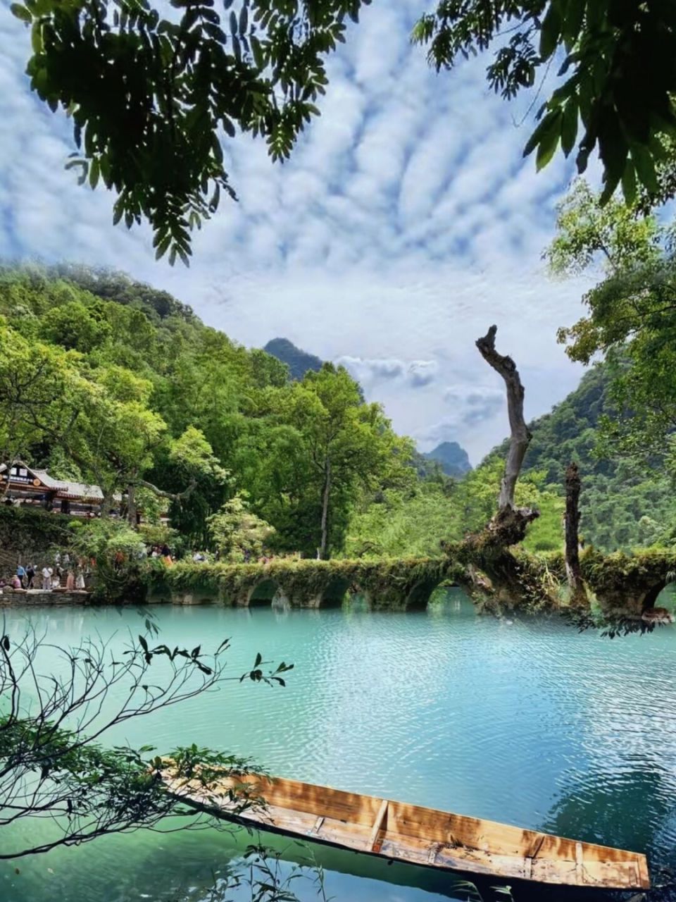 99地址: 荔波小七孔景区 99门票:两日有效,170(成人原价)(包涵观