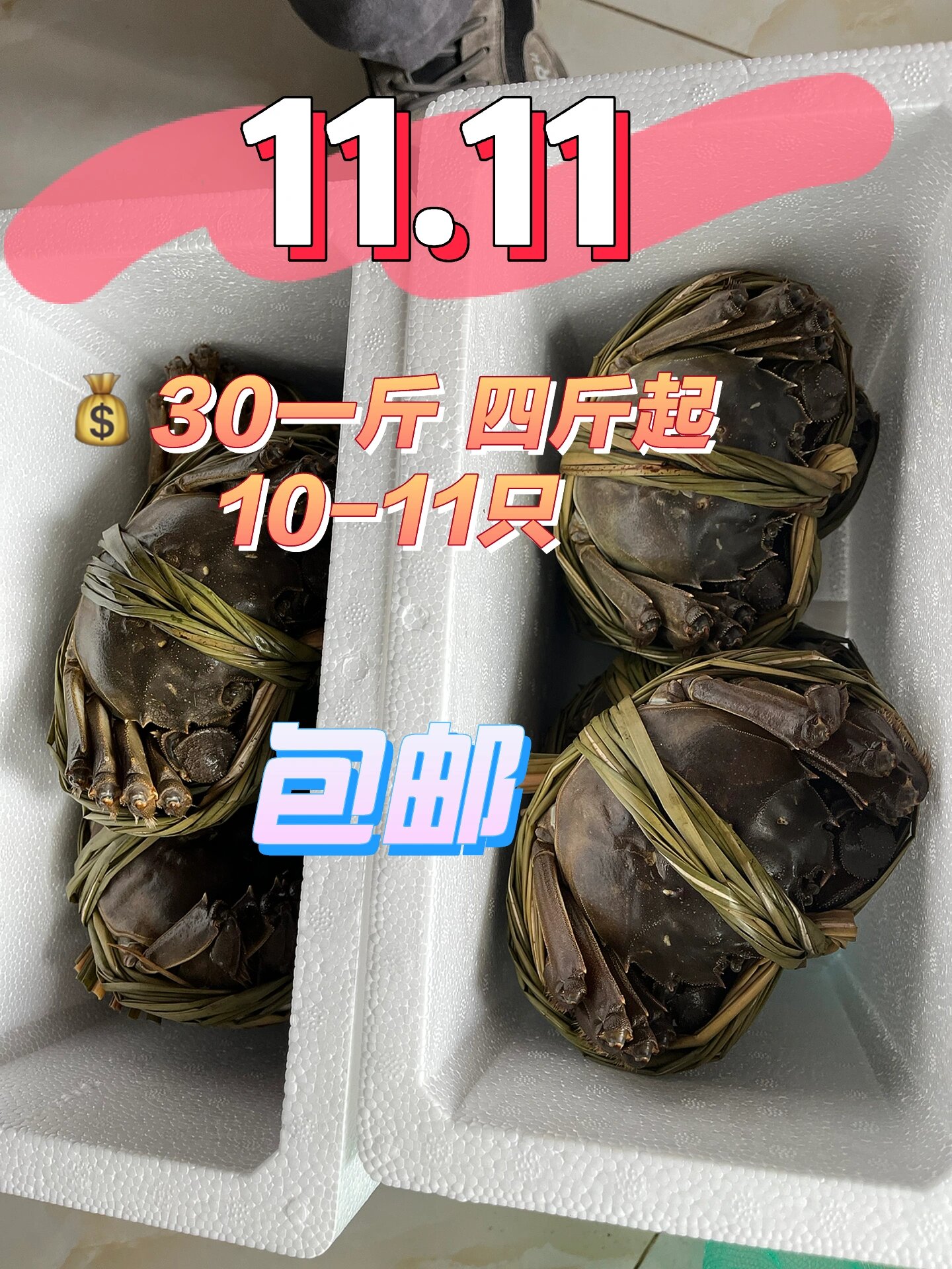 江苏特大红膏蟹!9030一斤!