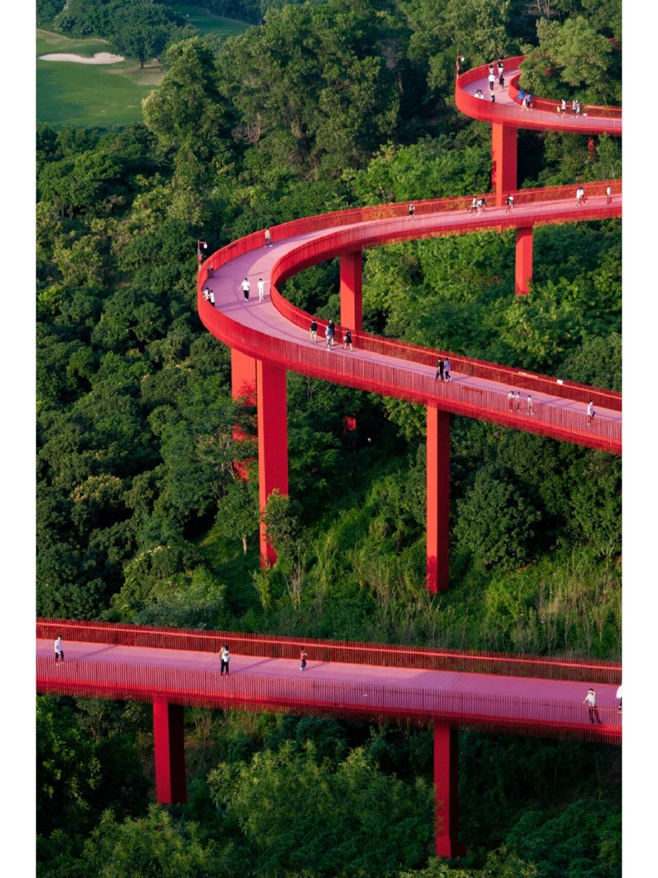 虹桥公园 99 蜿蜒的红色巨龙 | 深圳拍照 99深圳光明区虹桥公园