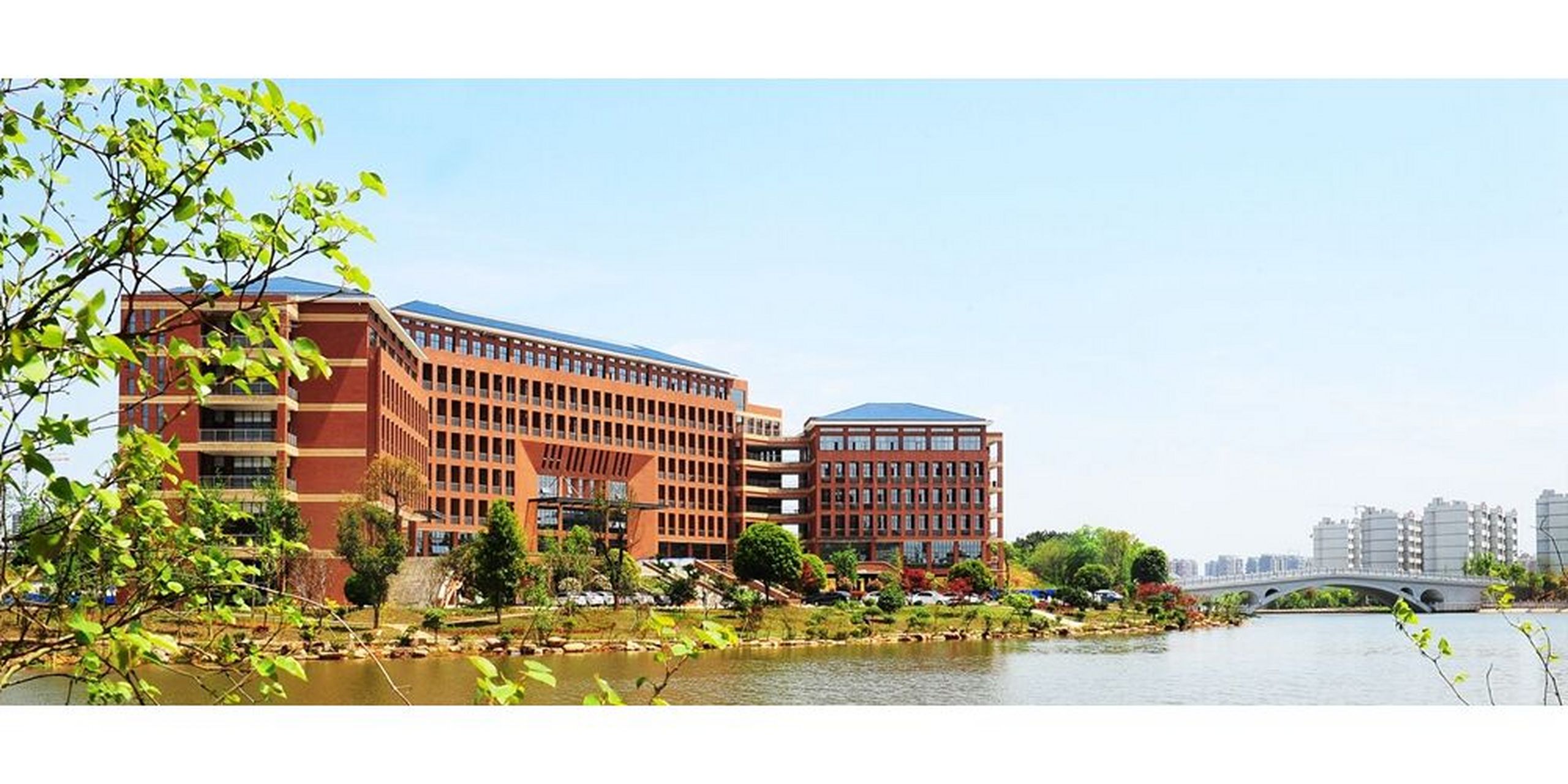 为湖南科技大学校毕业的全日制本,专科学生,毕业时