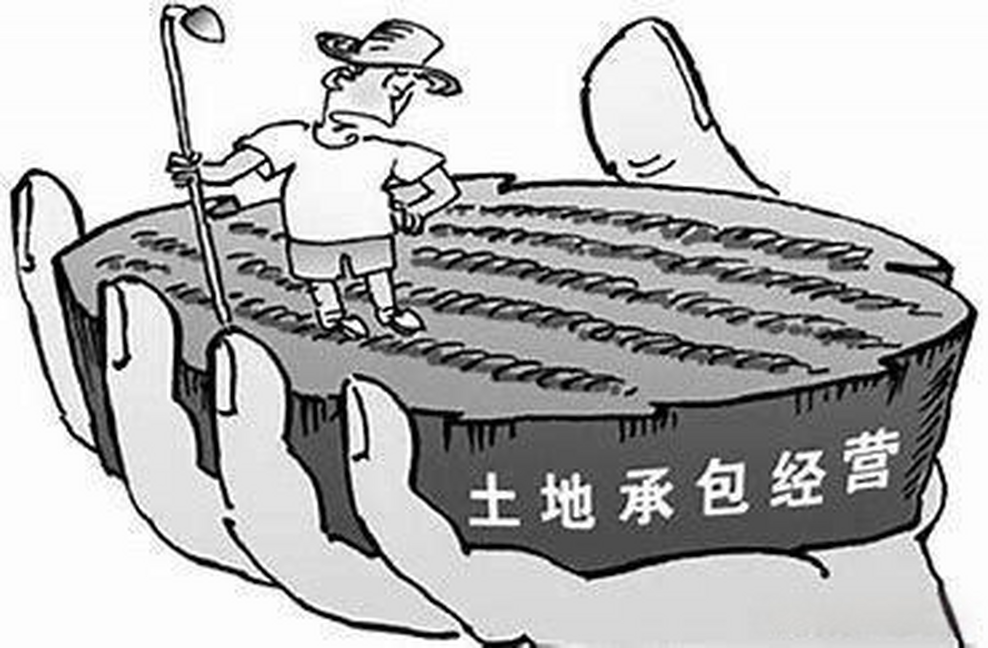 查看相关政策法规:了解当地关于土地流转和自留地划分的政策法规,包