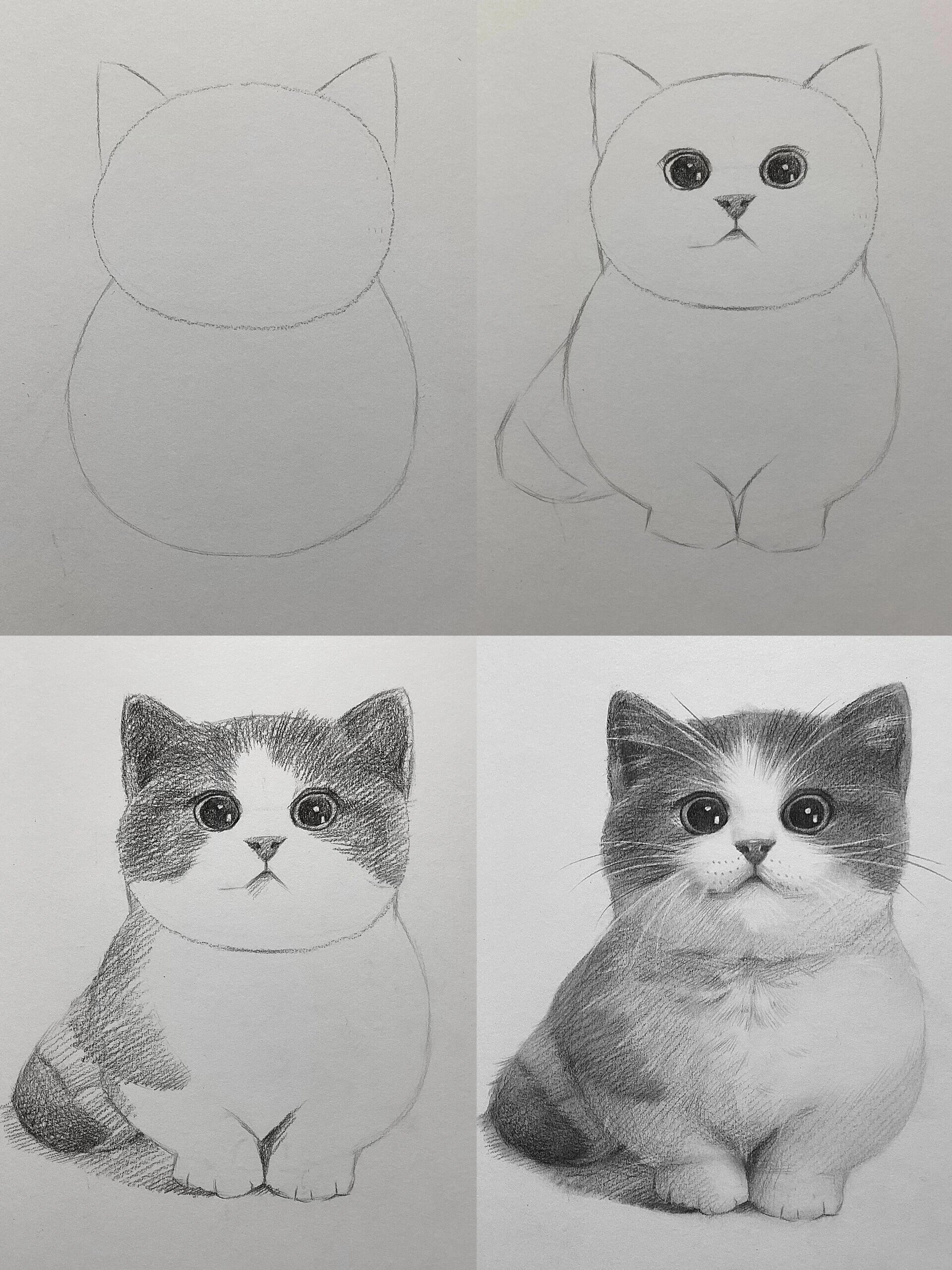 哇哦!超可爱小猫咪画法步骤93