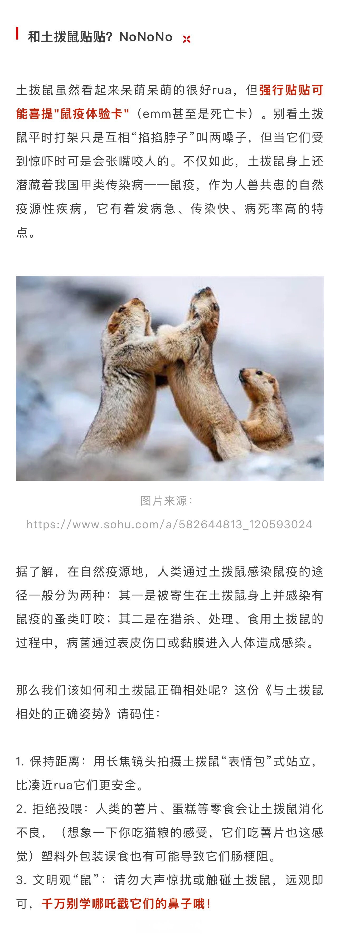 【#小清每日科普# | 土拨鼠:哪吒可以和我贴贴,你们不行】你们知道