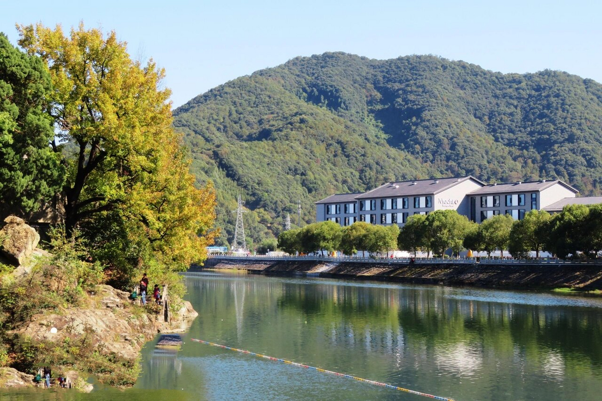 宁波奉化|蒋氏故居,文昌阁网红树美如画 宁波市奉化区溪口镇有一个棵