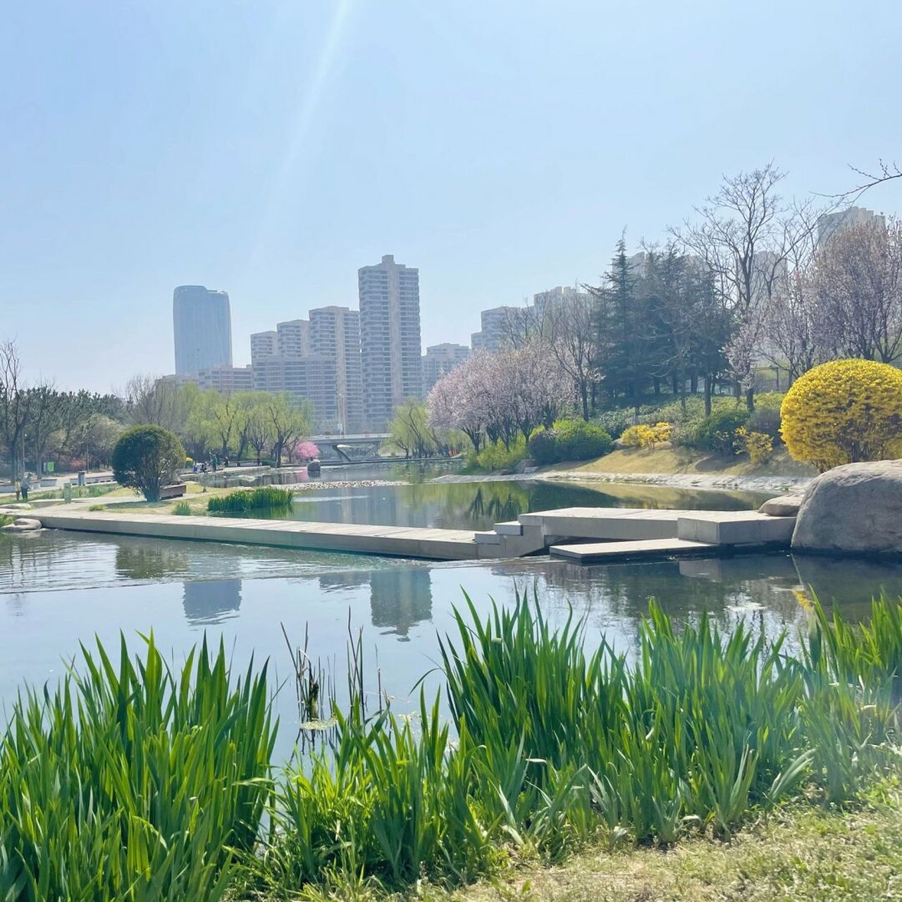 青岛遛娃好去处,李村河公园 青岛李村河公园(免费 位置:李沧区世园