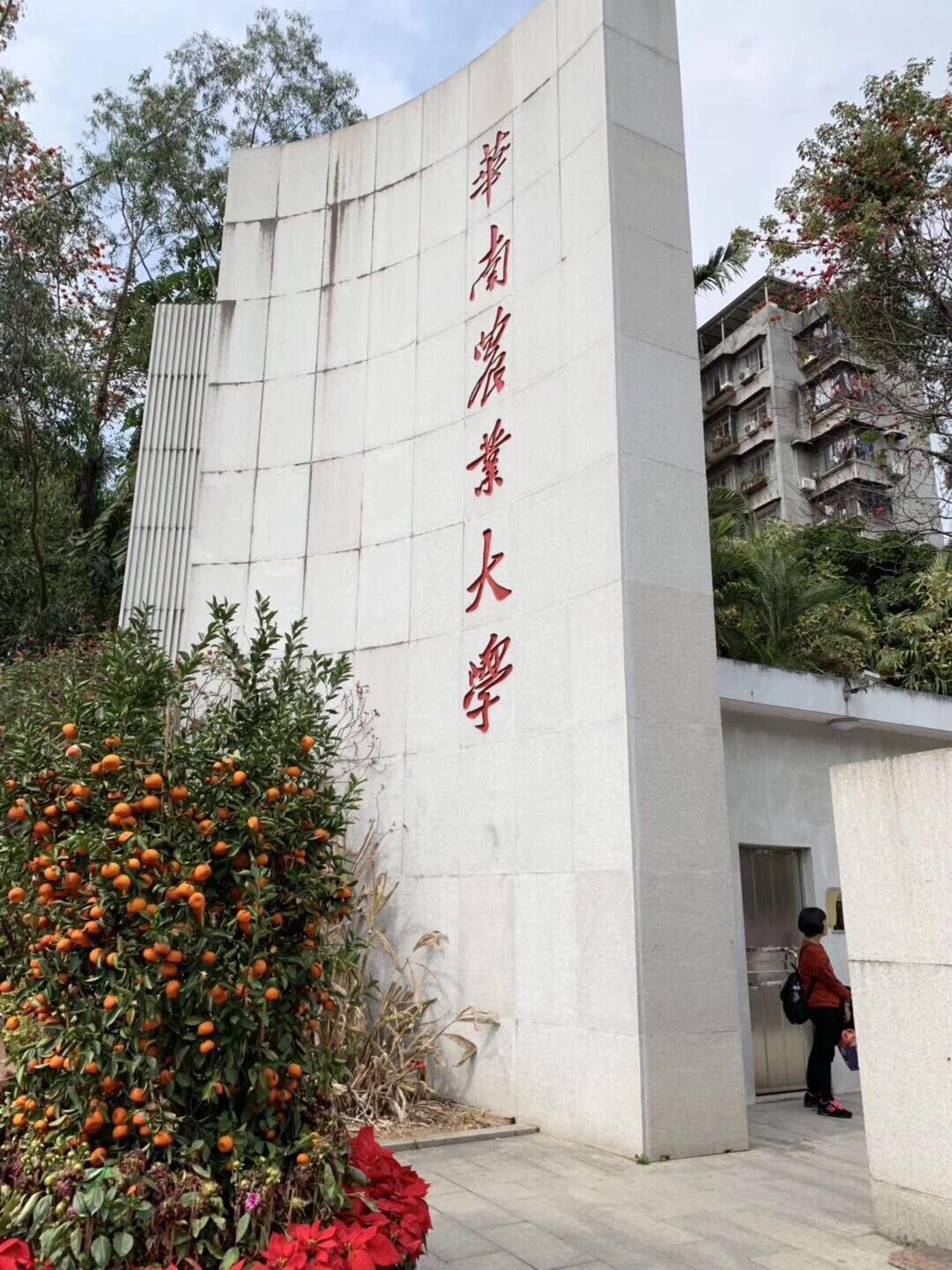 华南农业大学广州学院图片