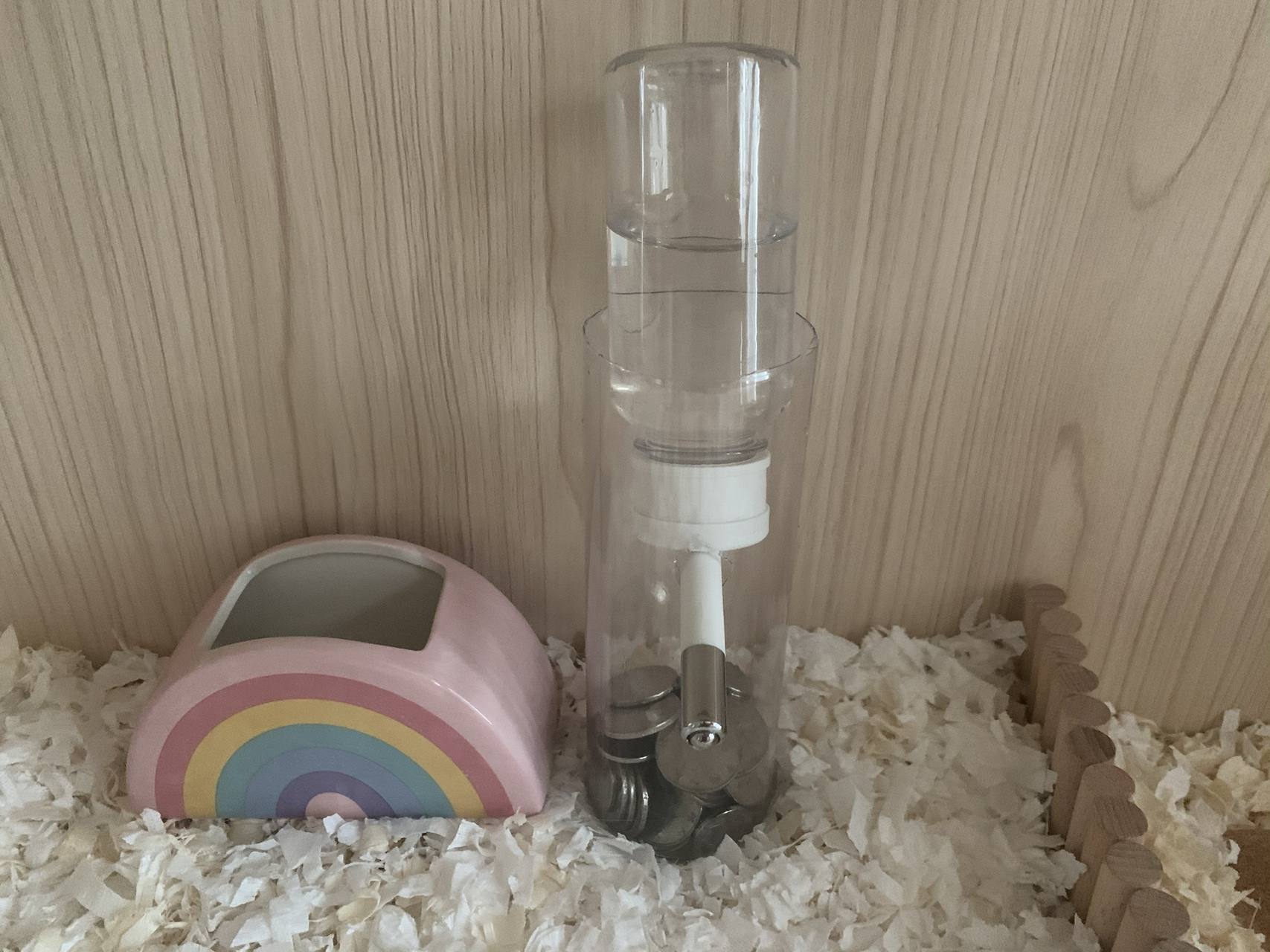 自制仓鼠水樽 我太喜欢透明的小物了,看了好几天的水樽本来都准备入