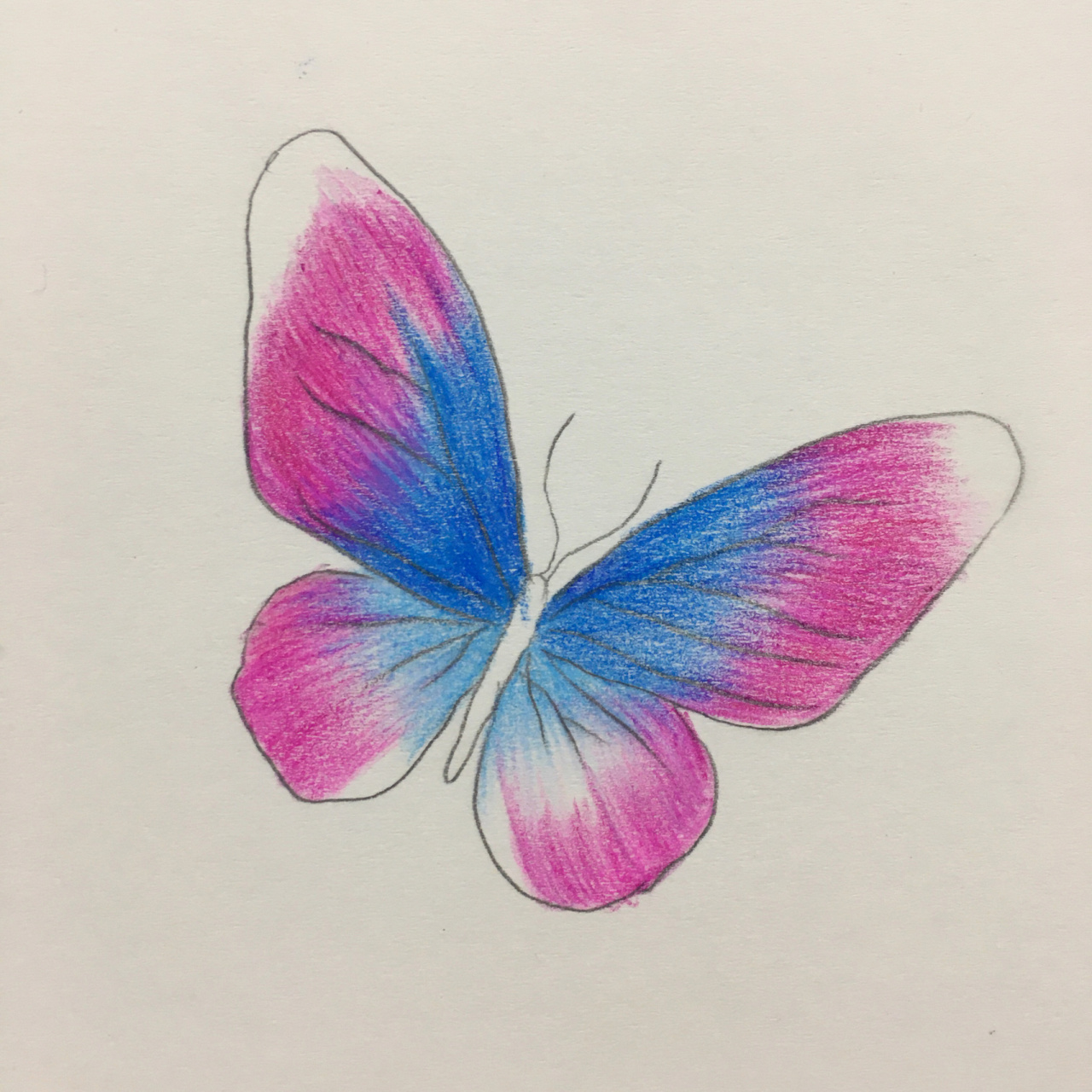 彩铅画,轻松学会的花蝴蝶(详细图文讲解) 绘画工具: 霹雳马油性彩铅笔