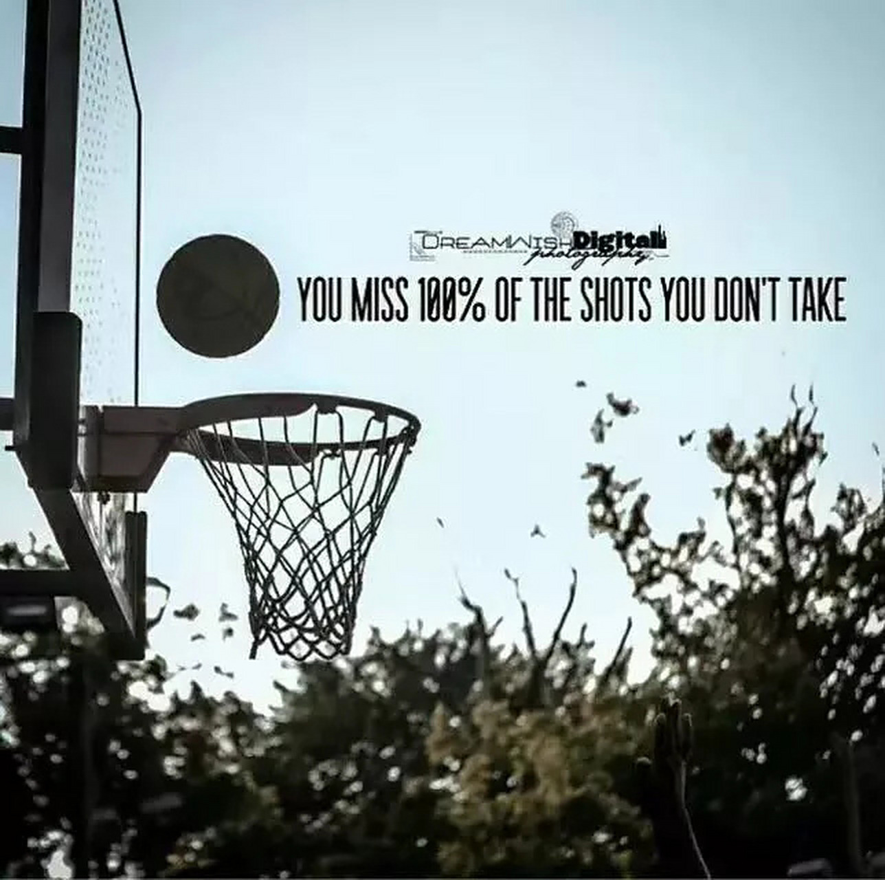qq空间背景照片篮球=空间背景图片nba