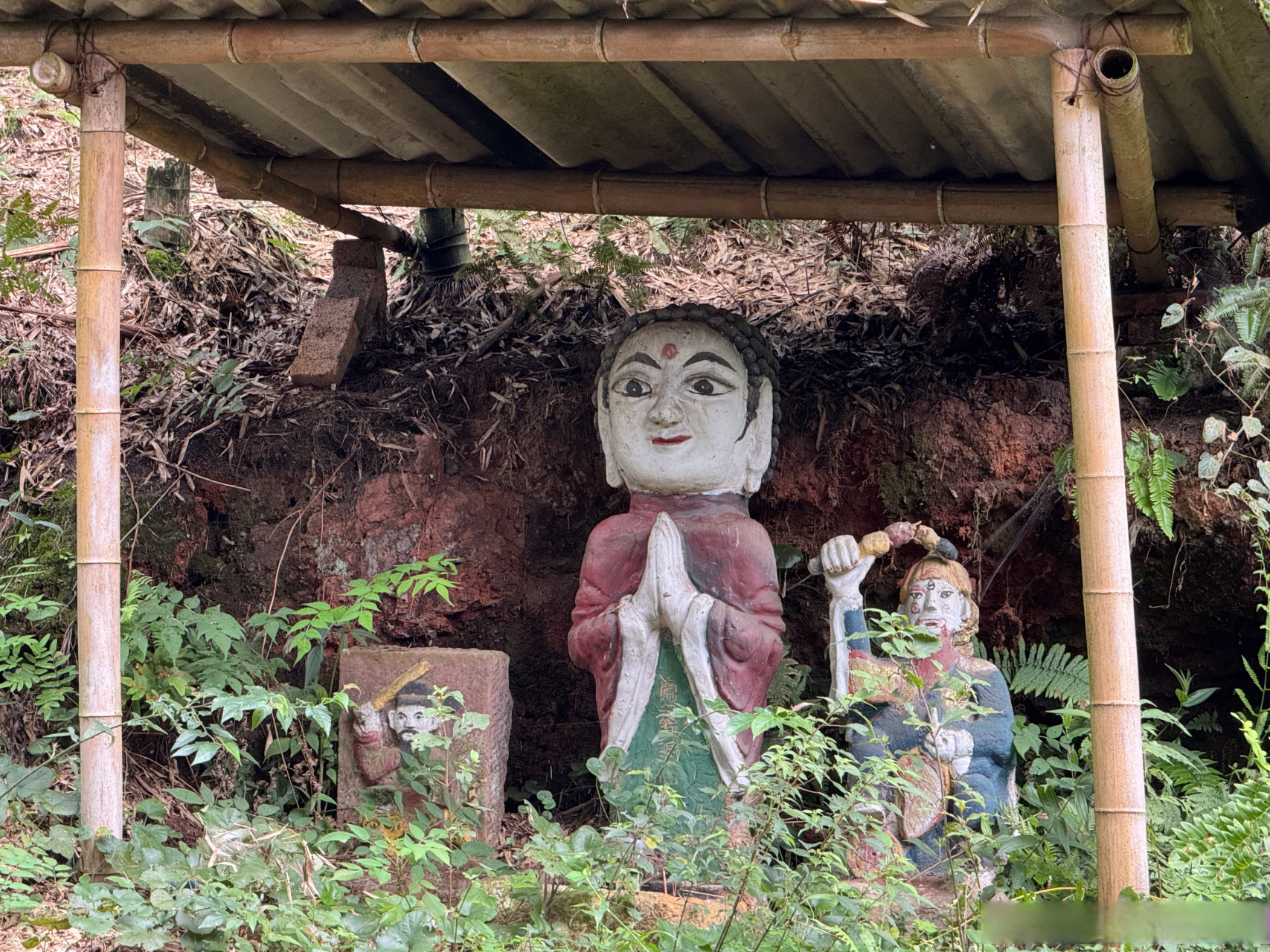 蜀南竹海看到的大头神仙