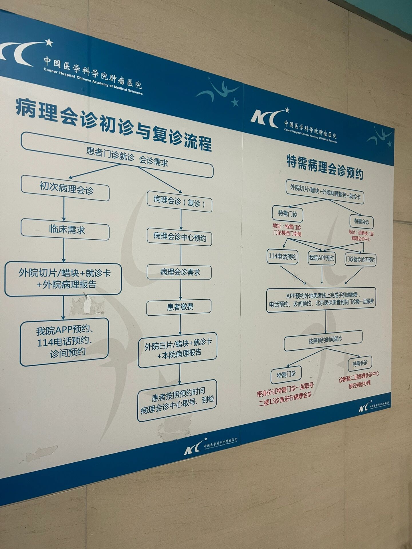 關于醫學科學院腫瘤醫院代幫掛號，服務好速度快醫療成果的信息