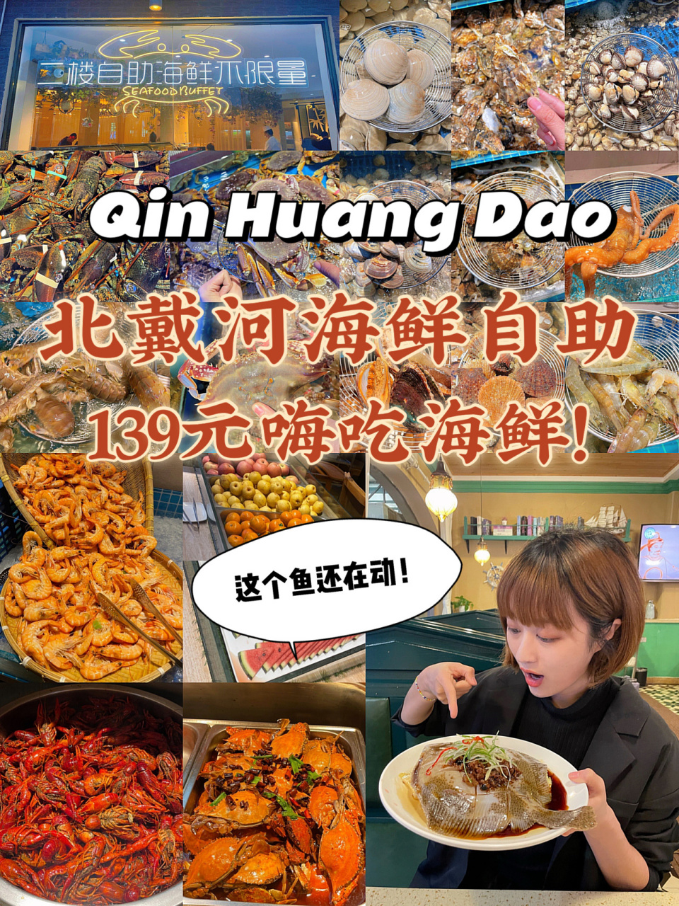 秦皇岛美食|139元海鲜自助02嗨吃北戴河 来秦皇岛不吃海鲜等于白来