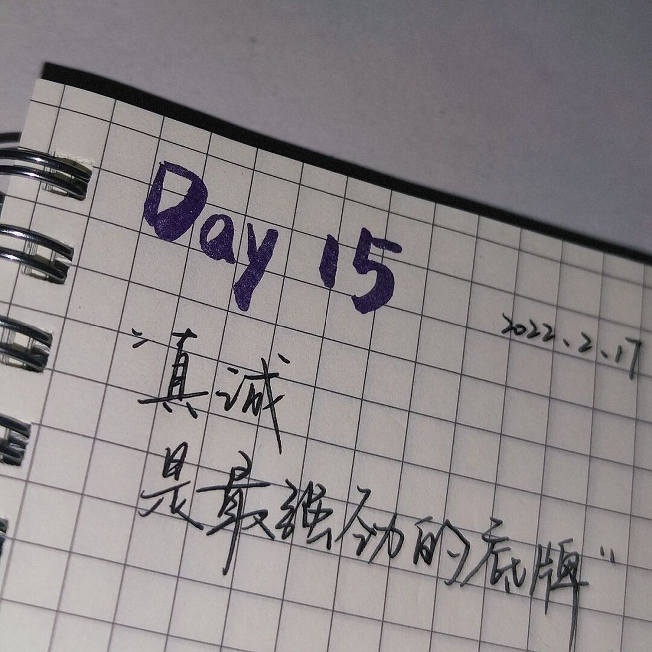 "遇你难做智者"#每日手写# #每日手写打卡# #手写摘抄# #智者不入爱河