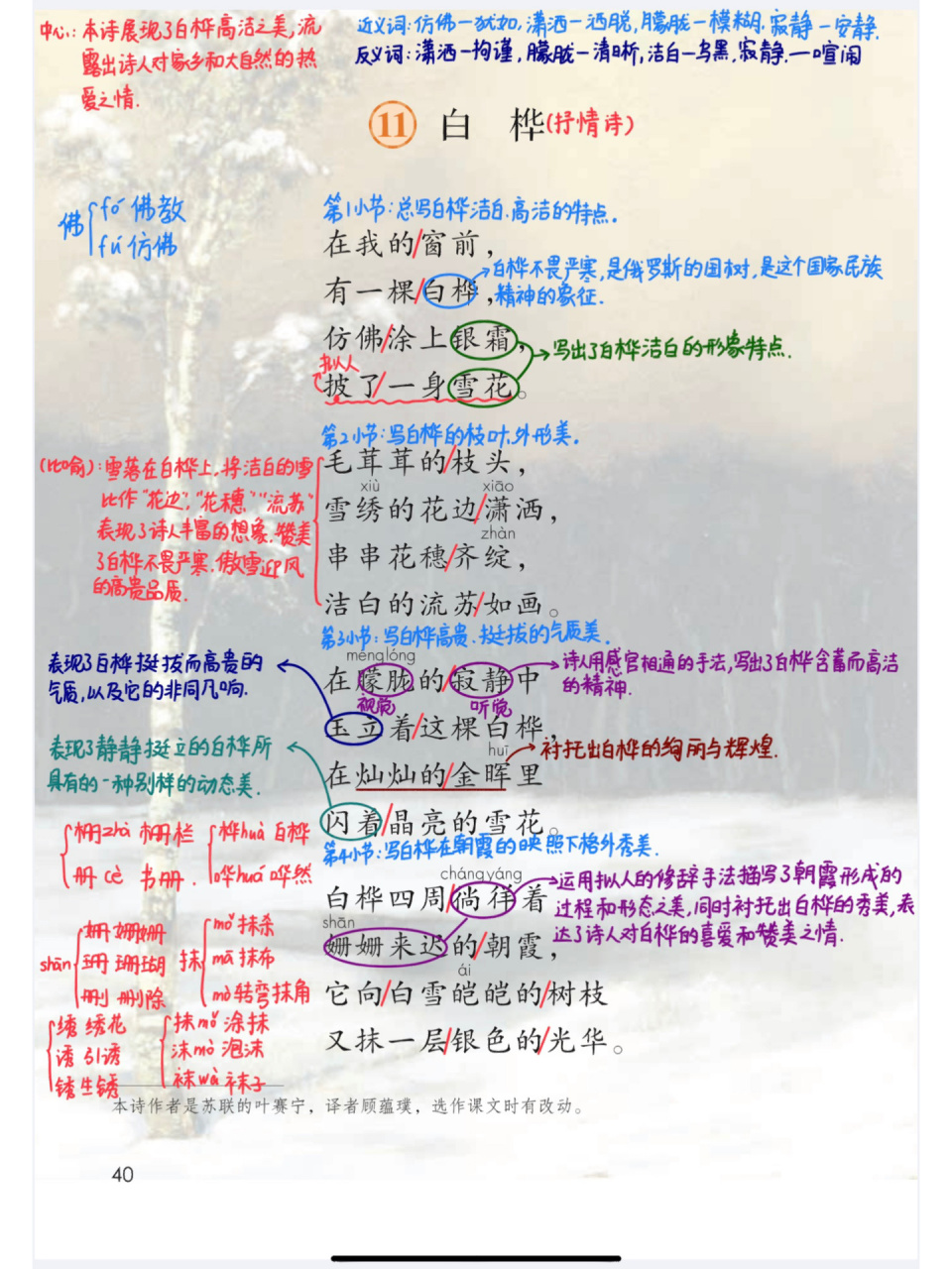 97部编版四年级下11《白桦》课堂笔记 97部编版四年级下11《白桦