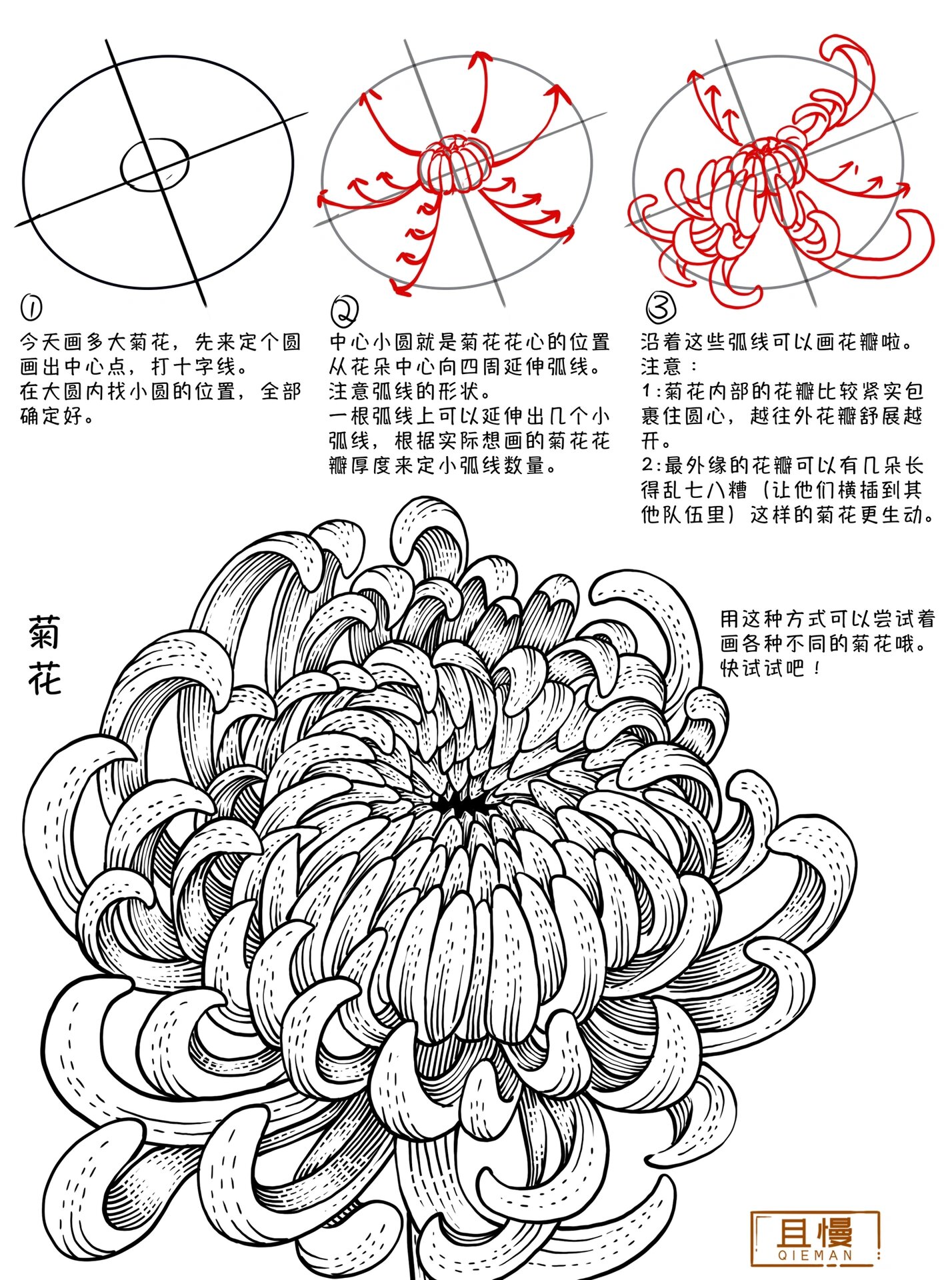花中四君子,梅兰竹菊画法合集
