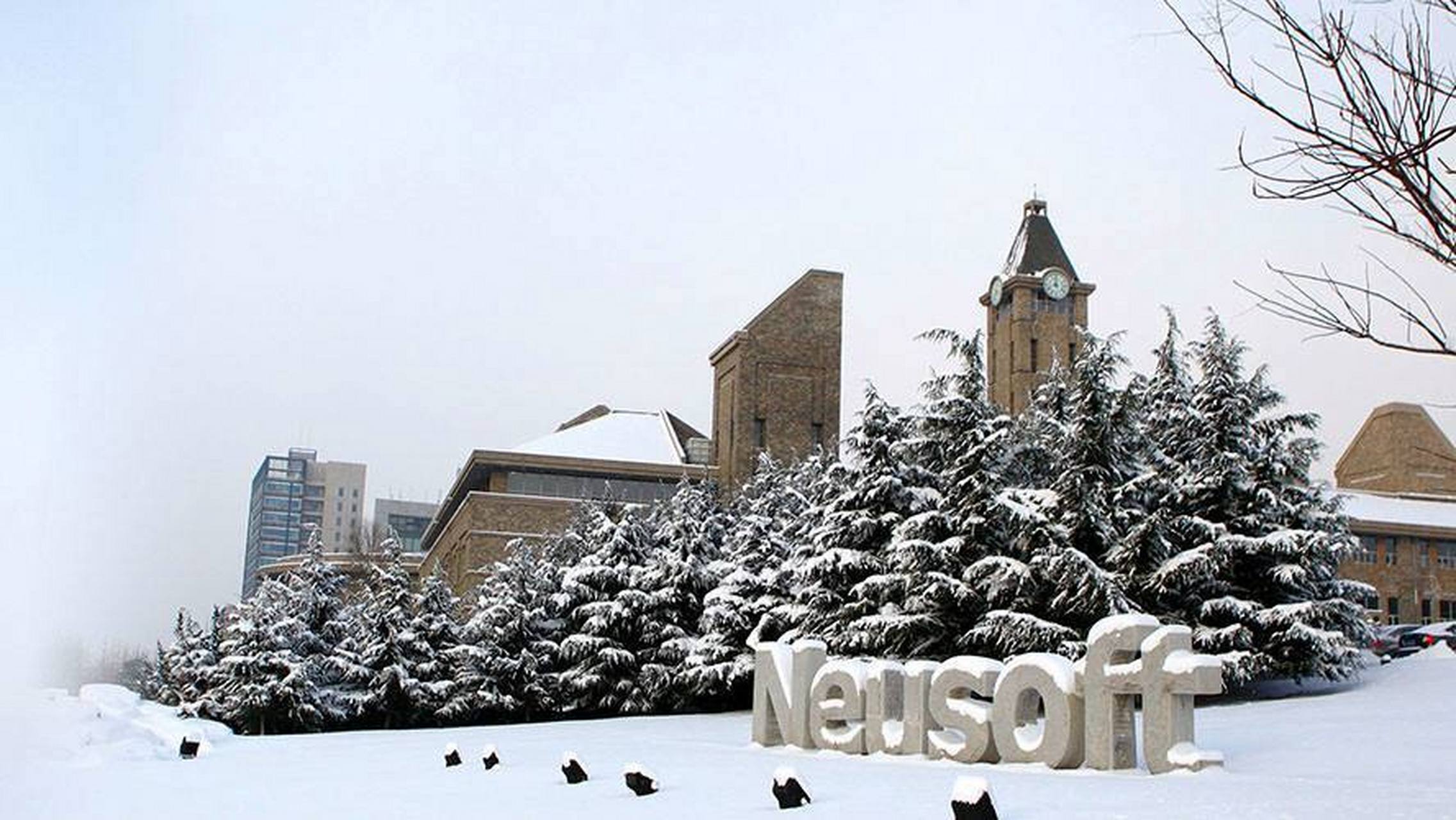 大连东软信息学院 博川校区岗位招聘 大连东软信息学院 博川校区岗位