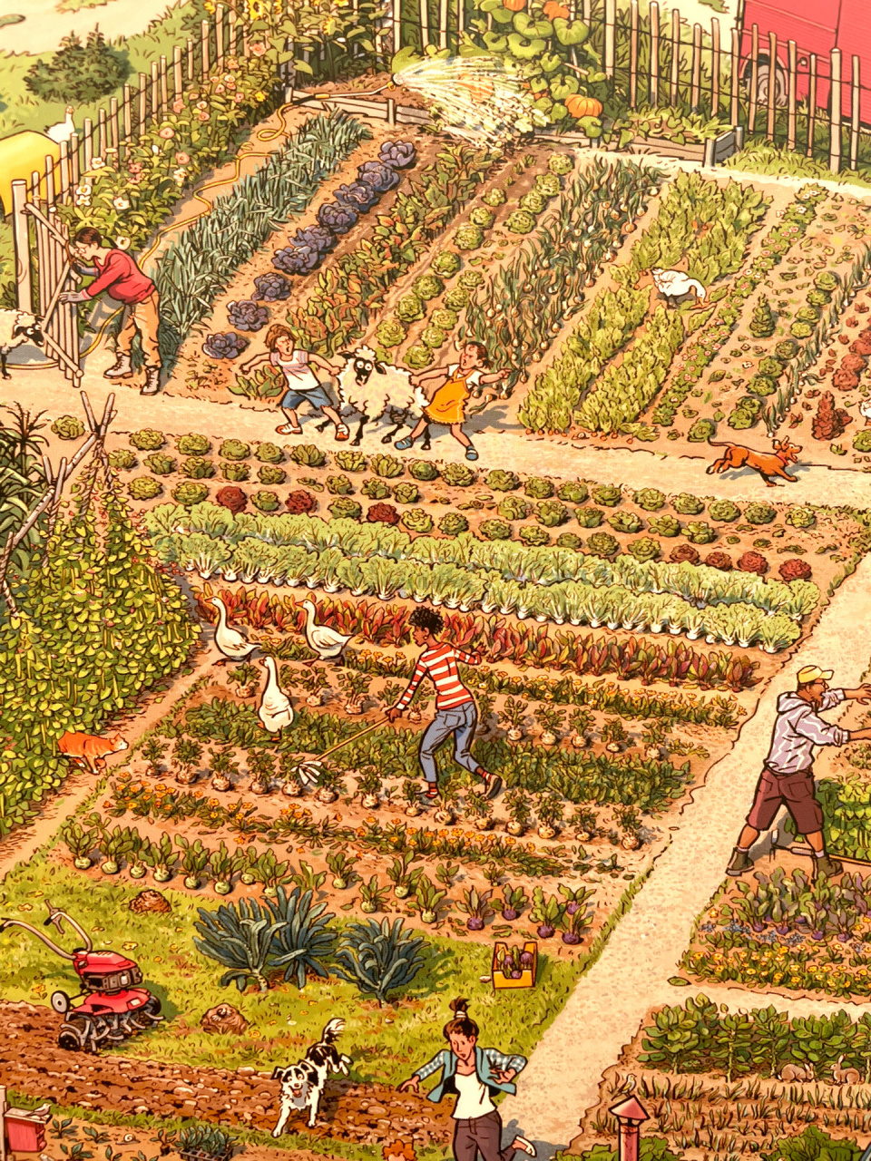 童年最美好的回忆|好忙好忙小镇97 从隔三差五都要翻翻,到每天晚上