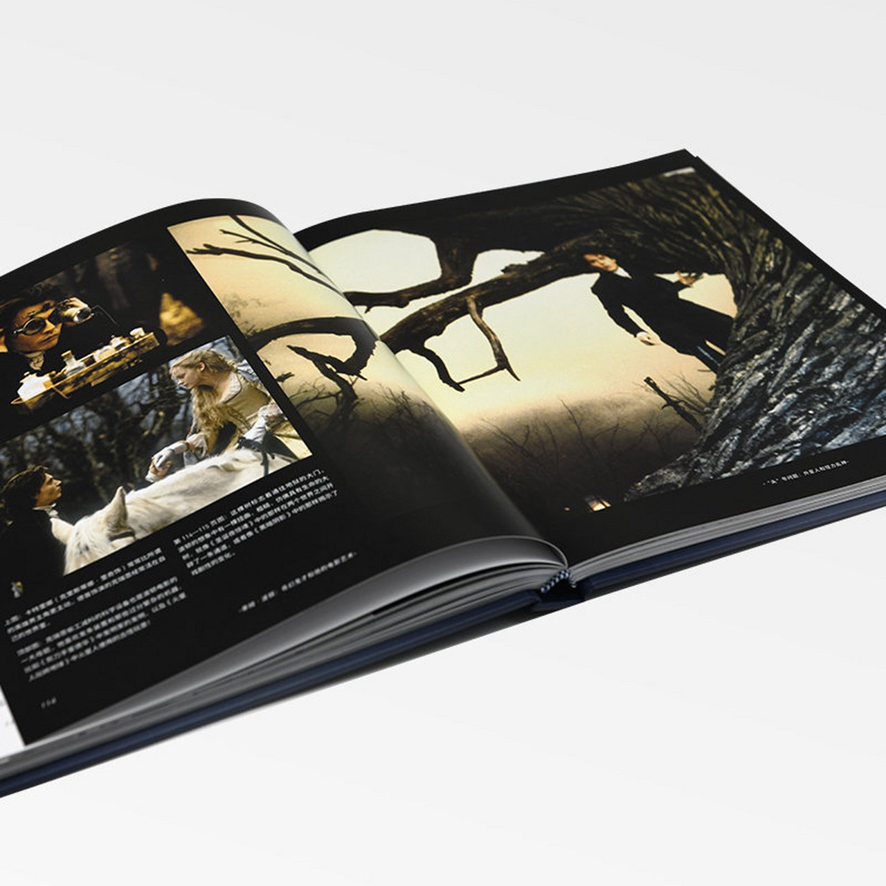 电影极客系列# 《蒂姆·波顿:奇幻鬼才和他的电影艺术》 奇幻鬼才