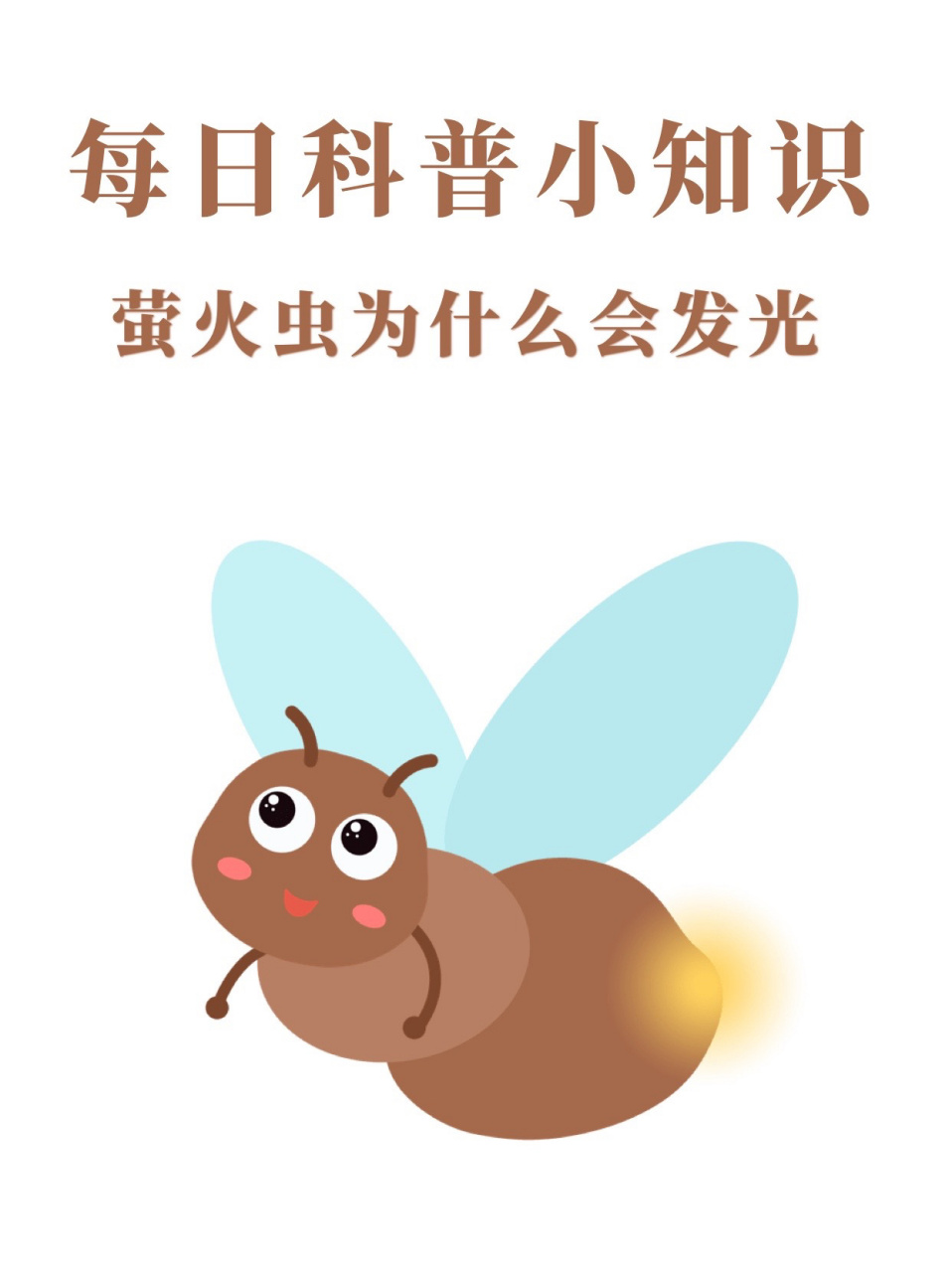 那么萤火虫为什么会发光呢?