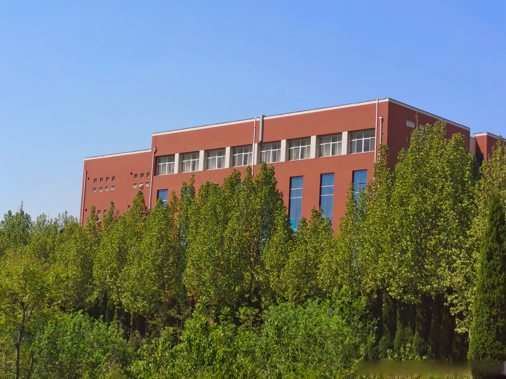 莱芜职业技术学院##莱芜职业技术学院#  人生最曼妙的风景,是内心的