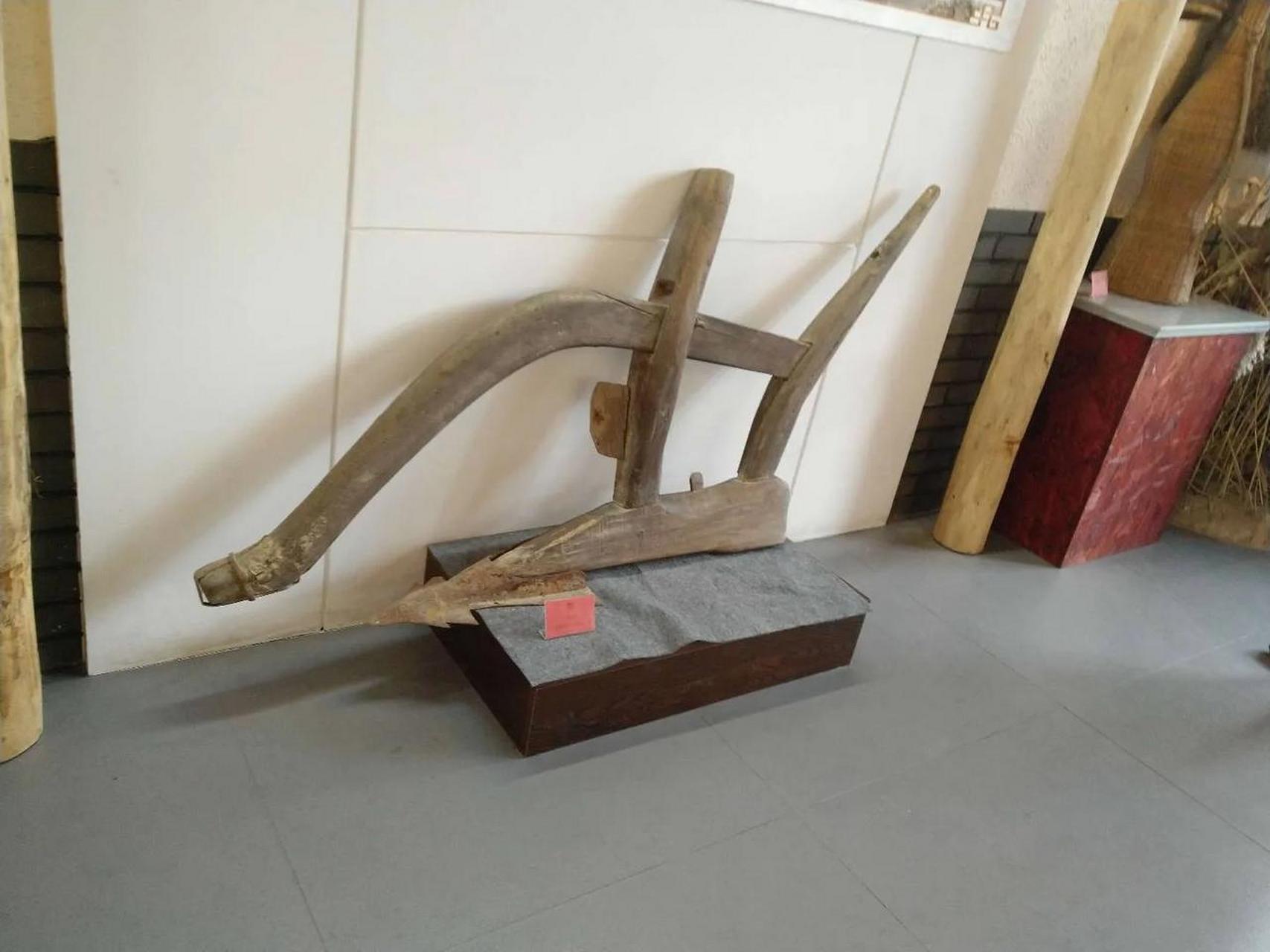 以前农村牛耕地你见过吗 80年代都是牛耕地呀.