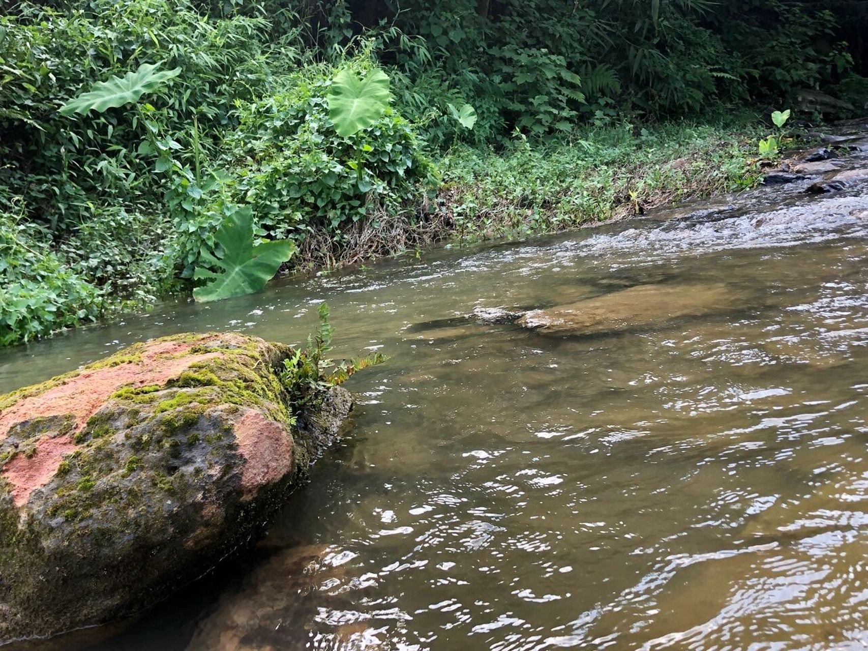 夏日避暑好去處|江門溯溪鶴山鶴城鎮七甕井 位於江門市鶴山市鶴城鎮的