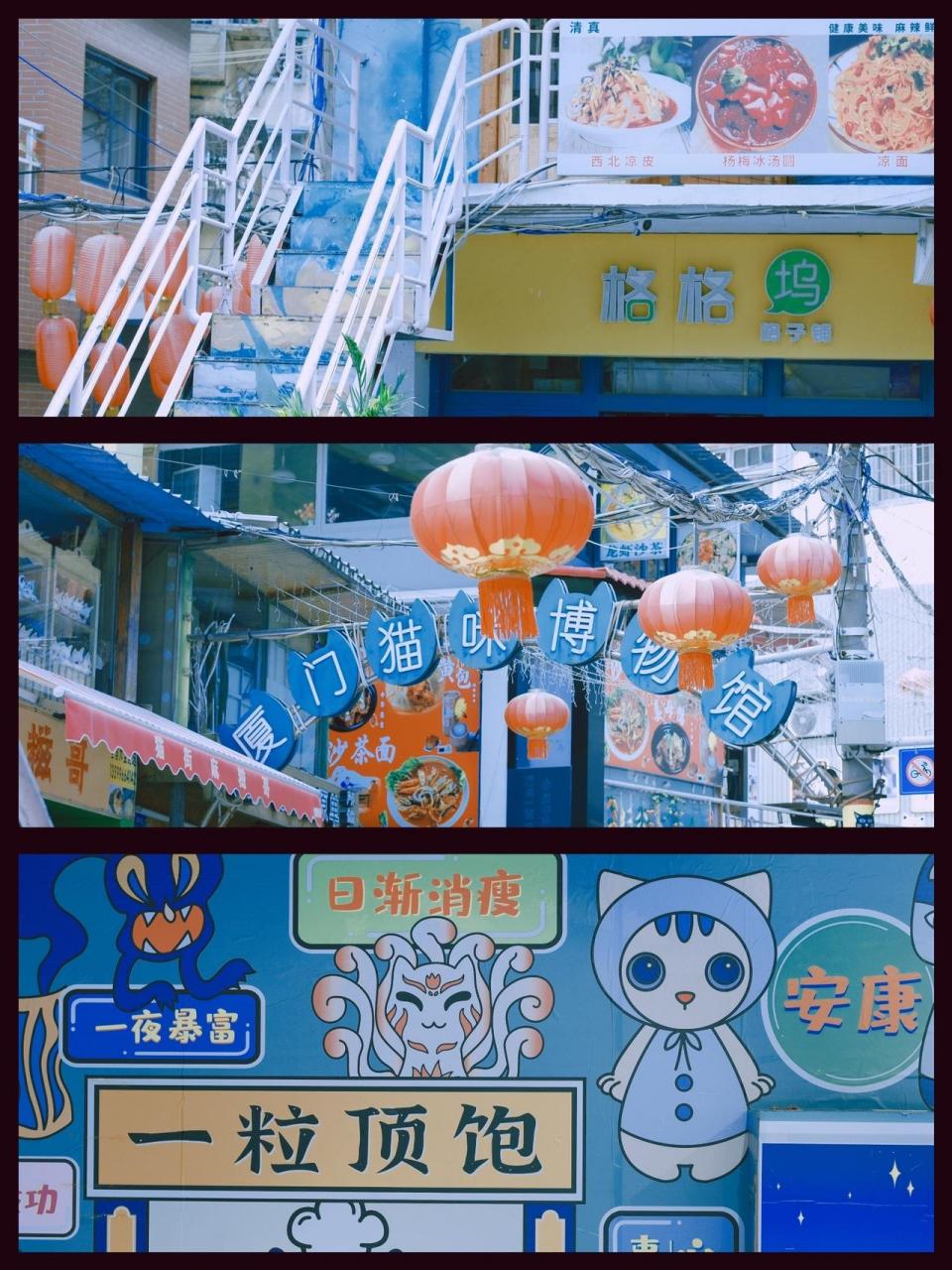 寻找文艺的厦门之旅 | 猫咪博物馆总有理由爱上厦门