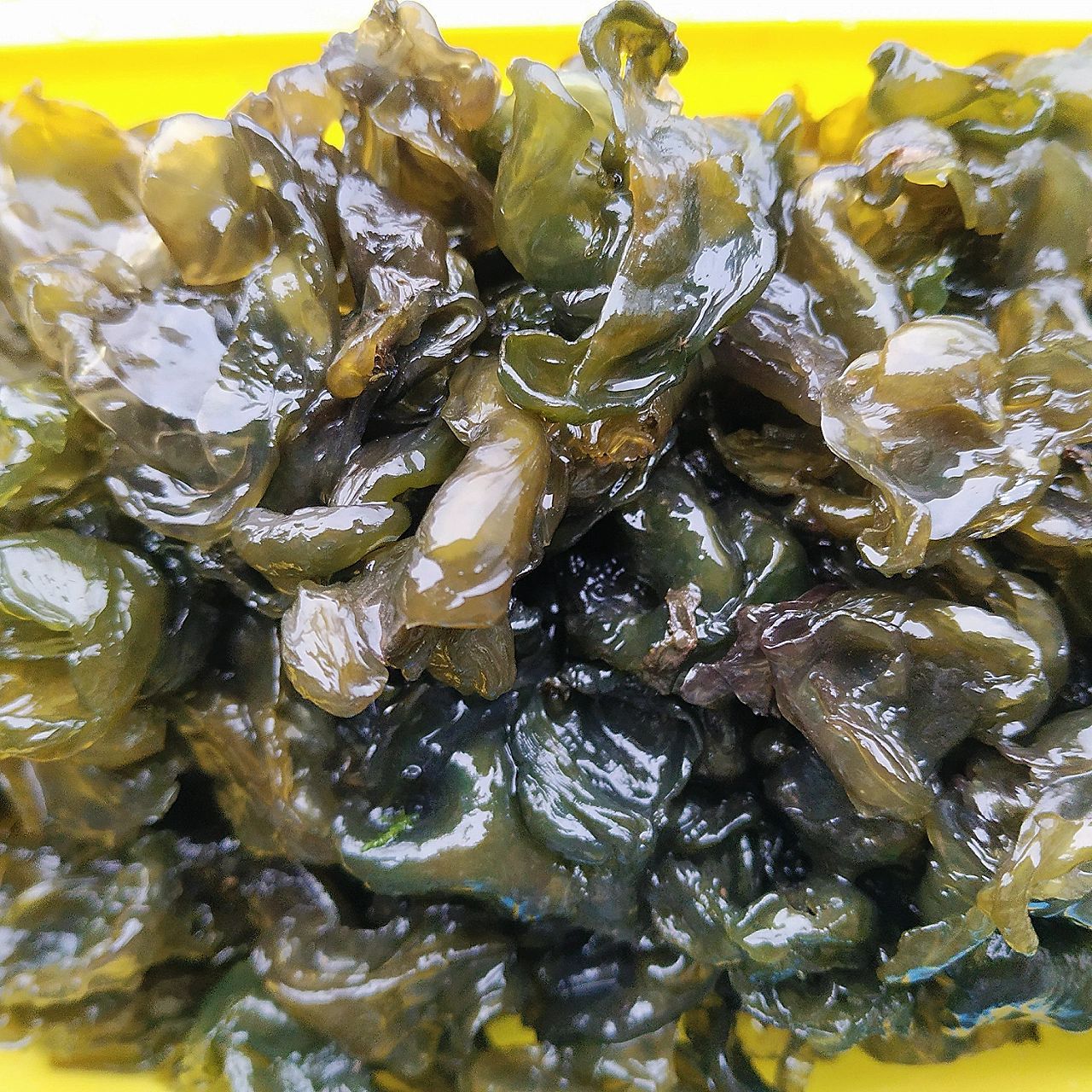 雷公菜 地衣菜 一般是在打雷下雨之后才出现 可以炒鸡蛋 凉拌 或者打