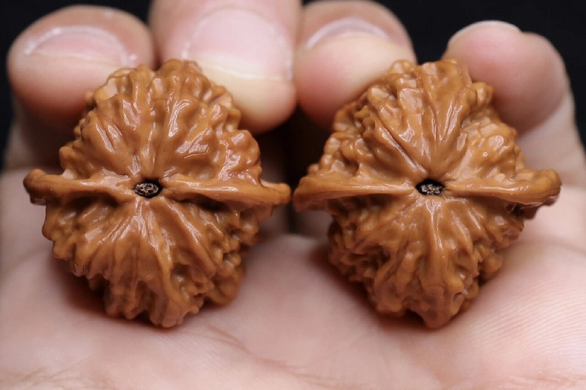 【精品野生核桃小合集】 文玩核桃,八款小合集,无虫,无修,无药,尺寸