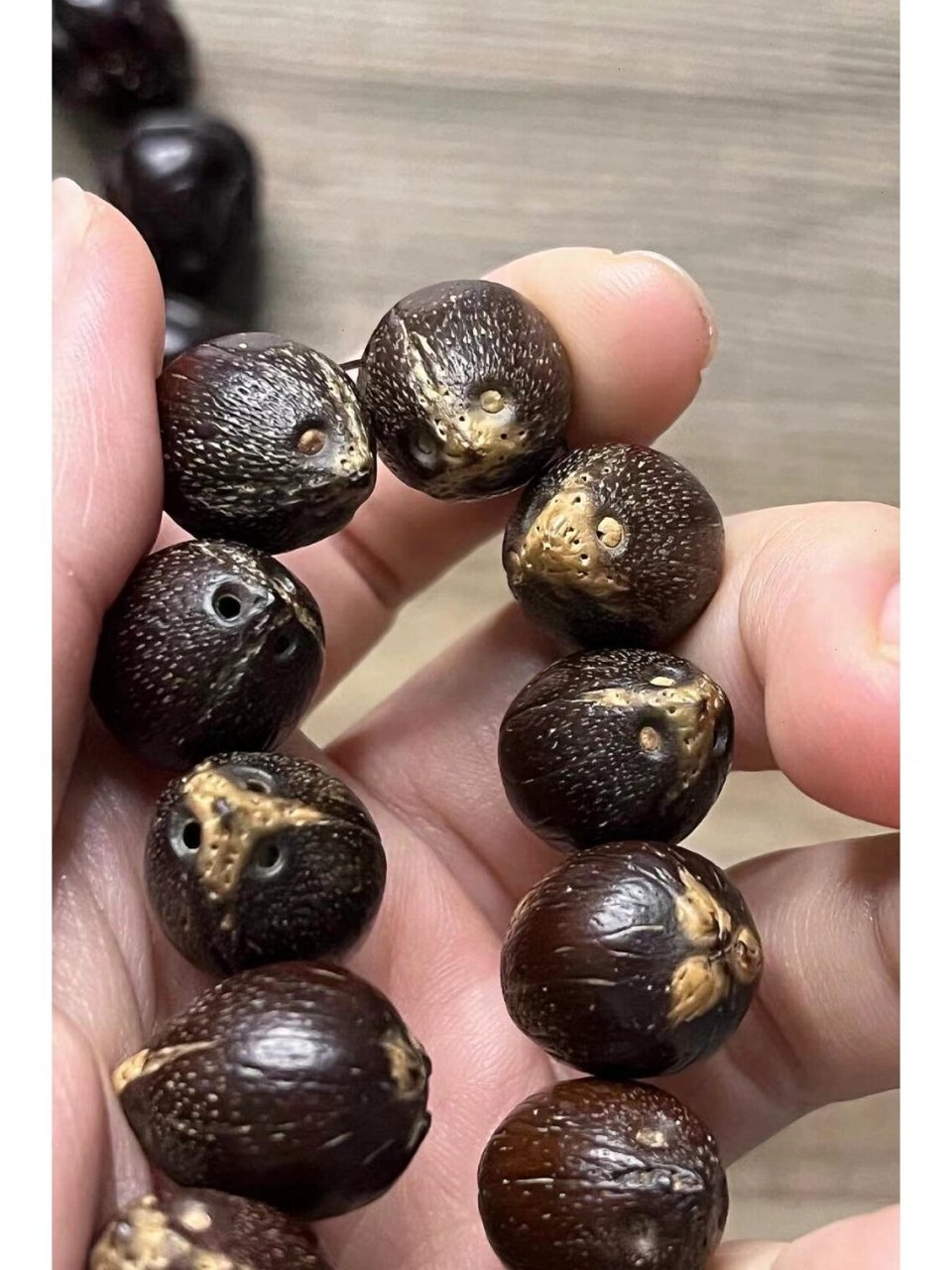 紫金鼠 前猫后属 紫金鼠菩提子:别称紫金鼠,招财鼠,发财鼠,金钱籽,三