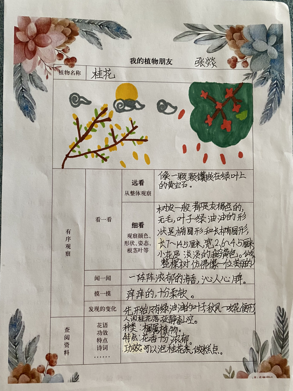 三年级小学生植物卡片图片