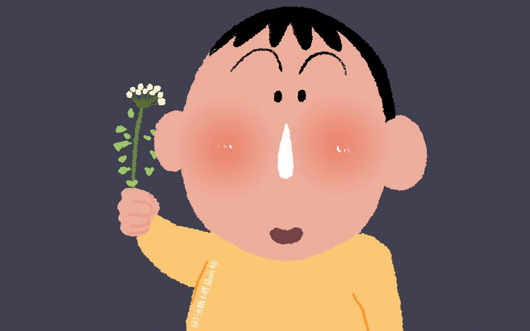 蜡笔小新·阿呆可爱电脑壁纸 阿呆阿呆,可可爱爱[坏笑][坏笑][坏笑]