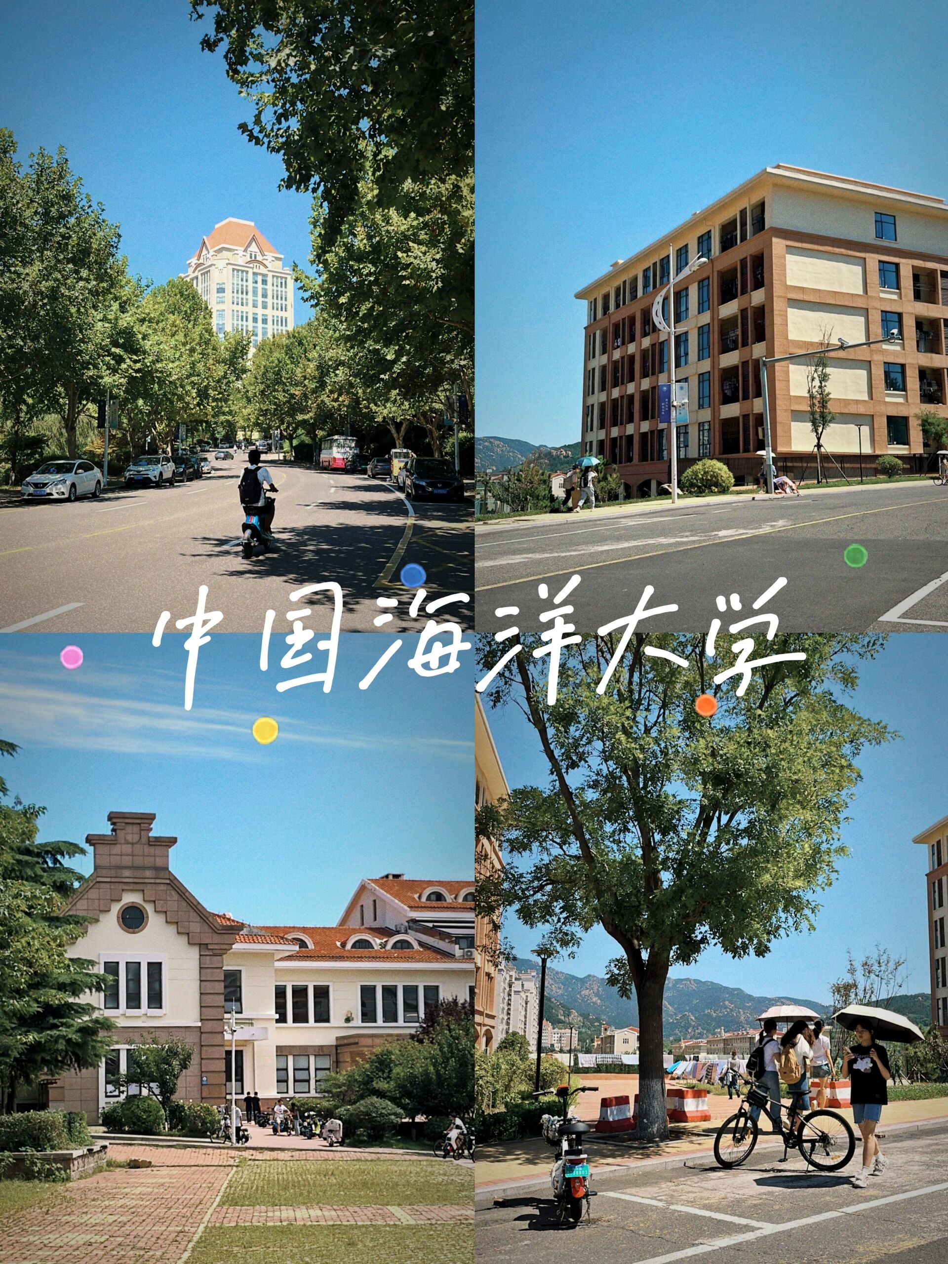 赵元晖中国海洋大学图片