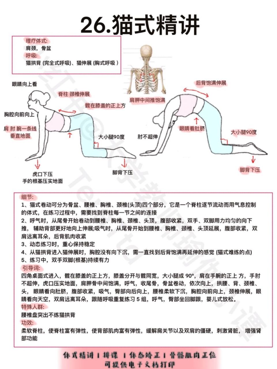 大猫趴 瑜伽体式图片