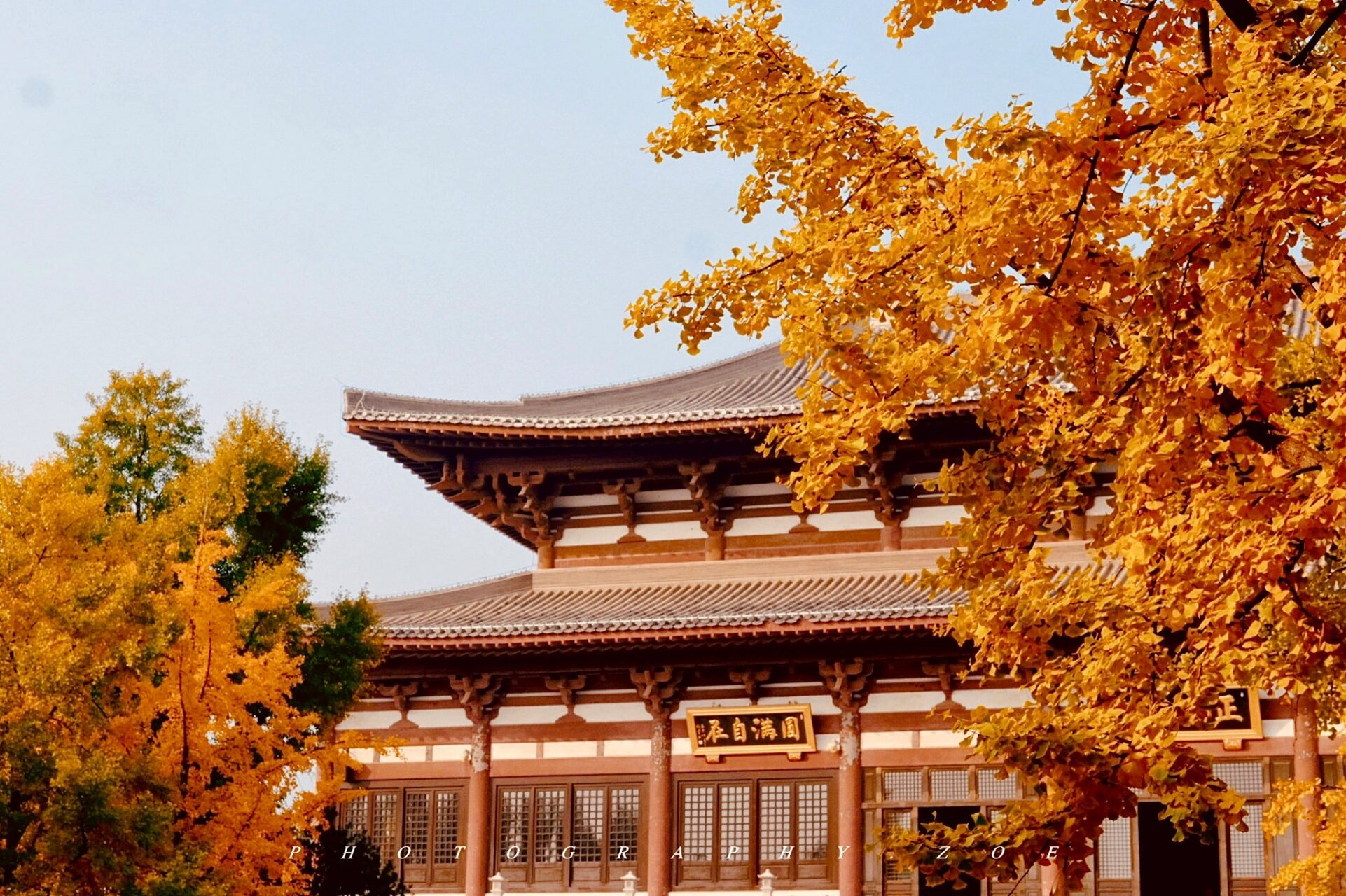 廊坊千年古剎|隆福寺 廊坊正在修錢的古寺-隆福寺,因為時間問題,下午