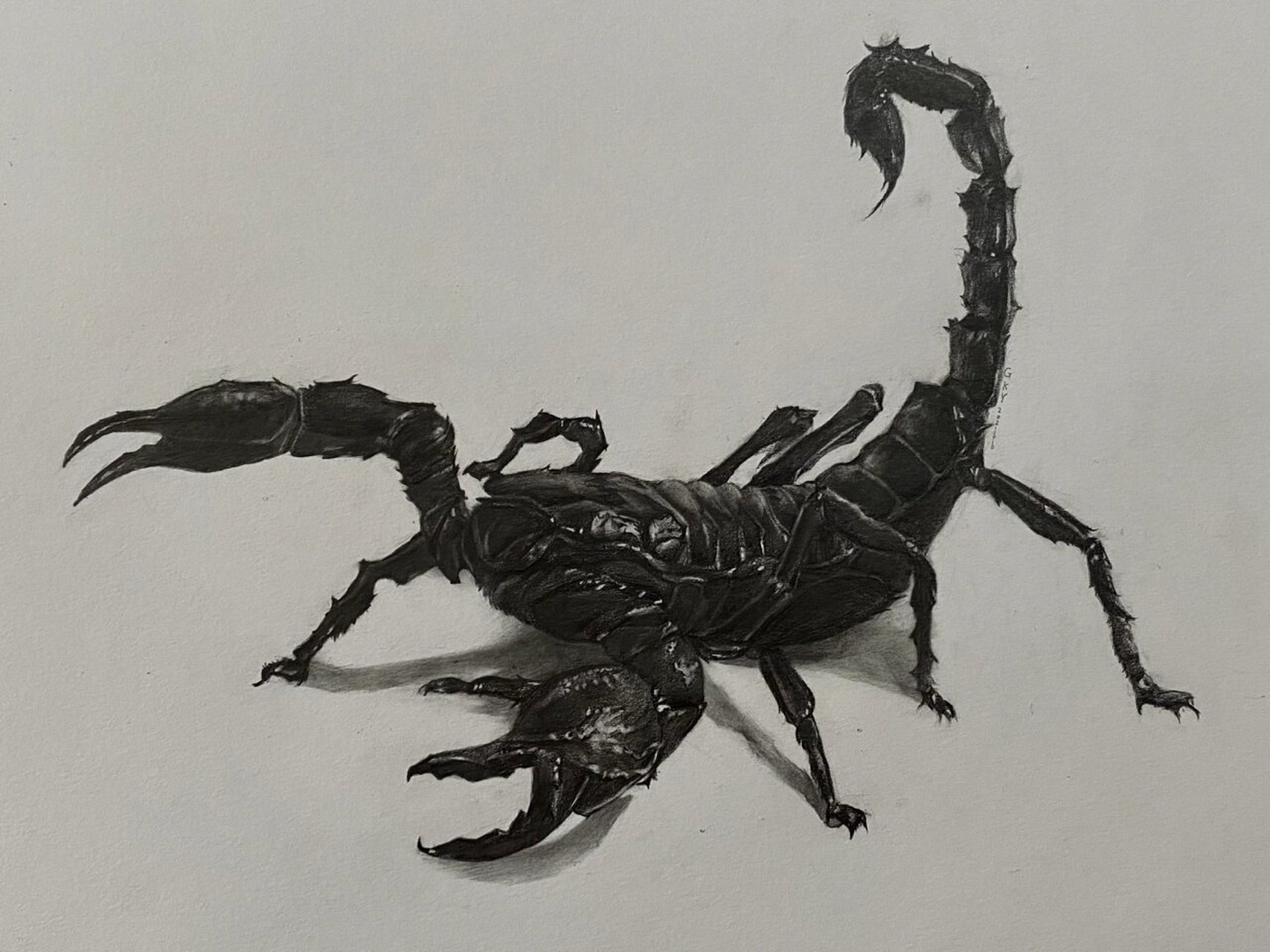 精微素描/蝎子/超写实/质感 学生精微素描的练习 时长7小时 主要是