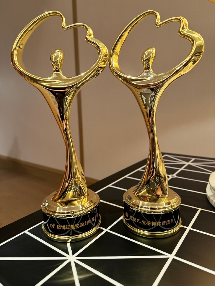 总冠军奖 杯名称探 冠军荣耀相关图片2
