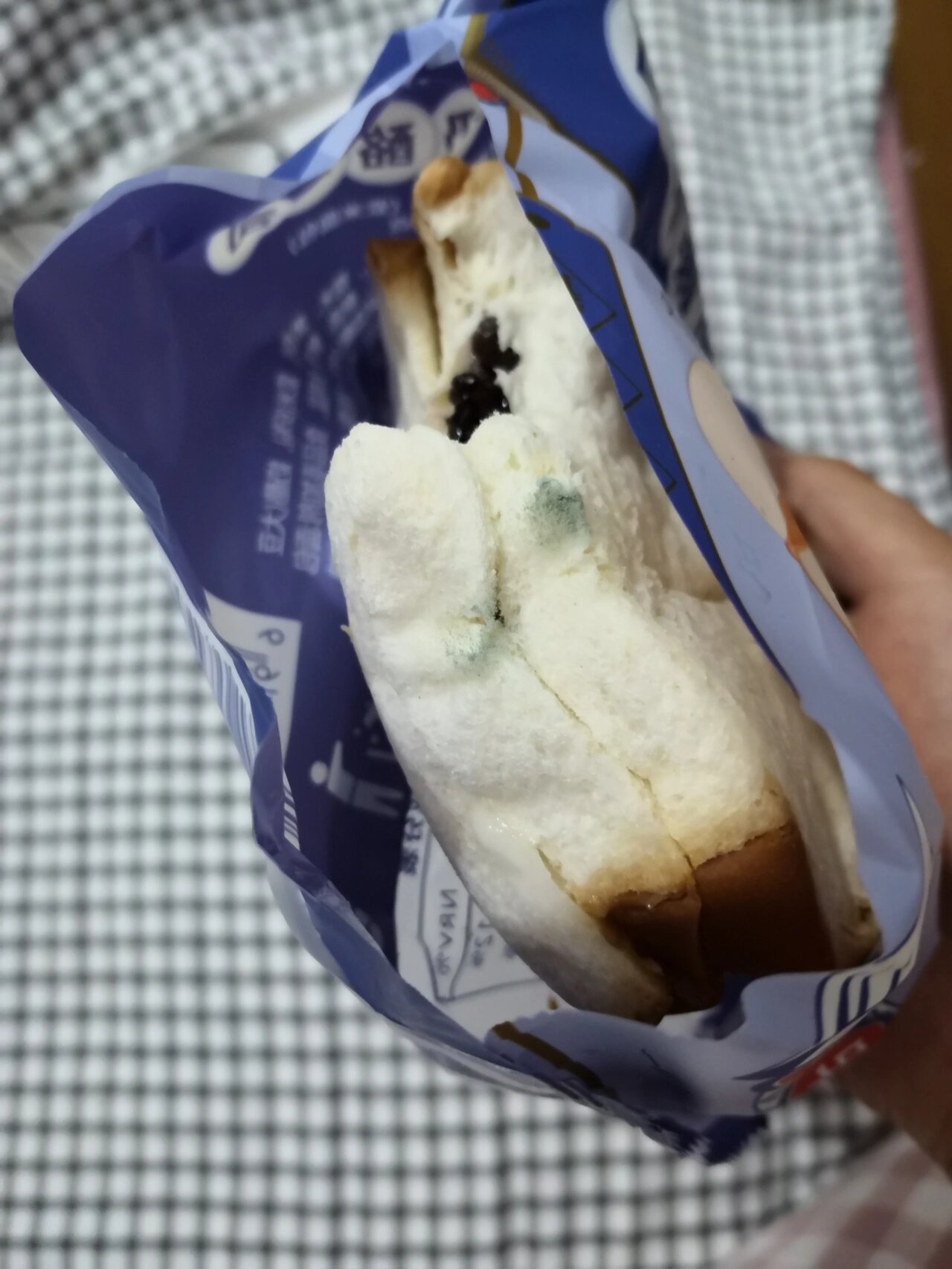 紫米面包发霉了