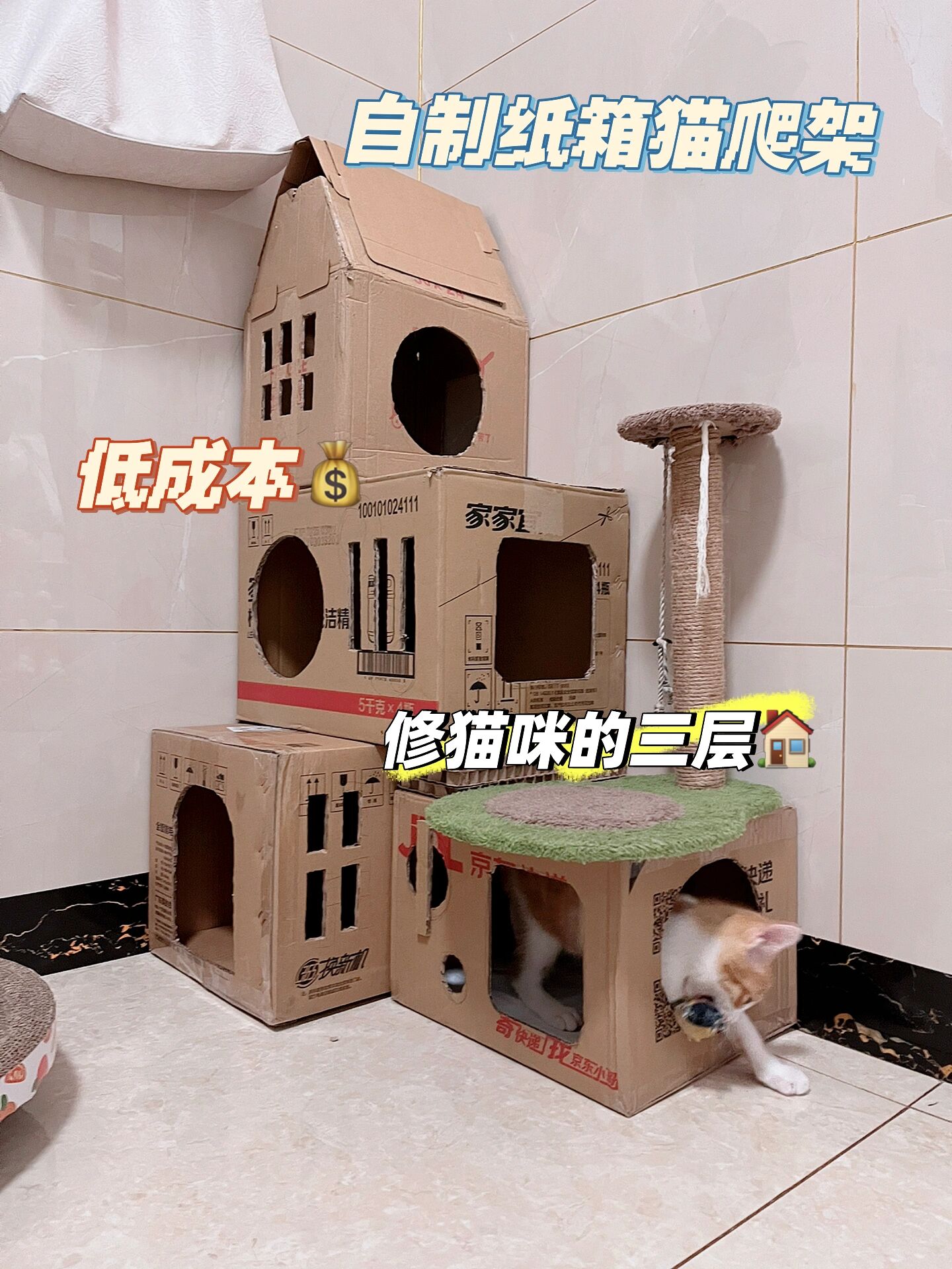 diy纸箱猫窝/猫爬架