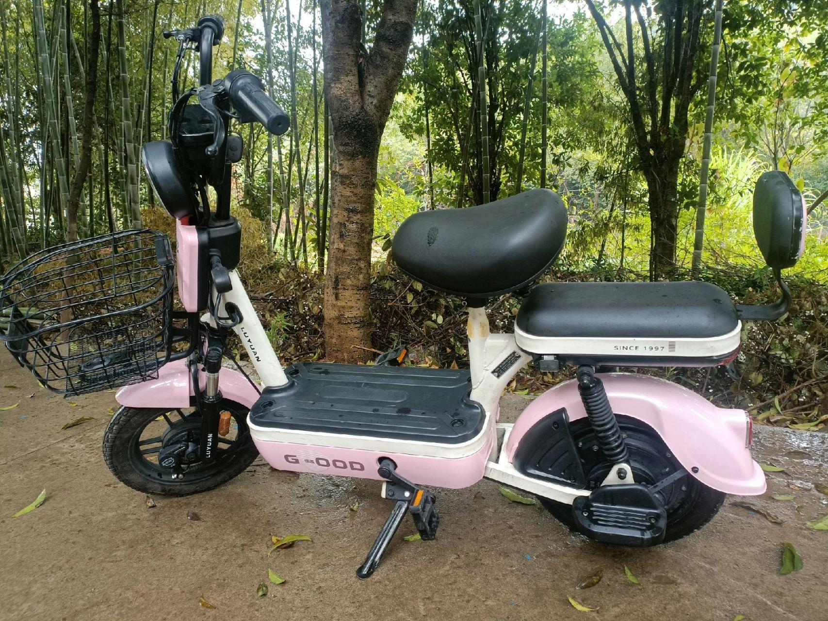 转让一辆绿源牌小毛驴,外观98新,骑了6000公里,几百块钱贱卖,大余高速