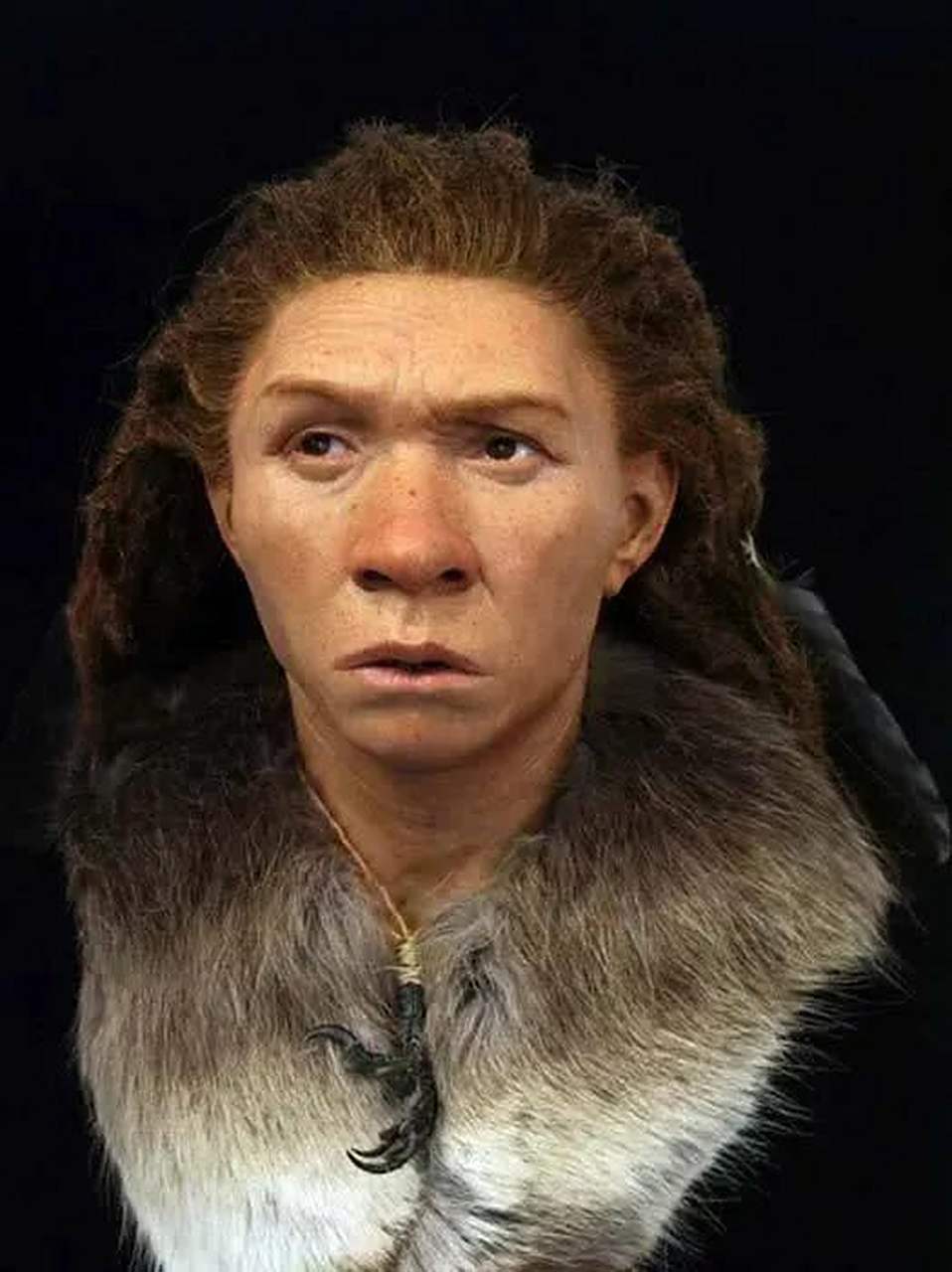 尼安德特人是一种已经灭绝的古人类,他们曾经生活在约40,000年前的