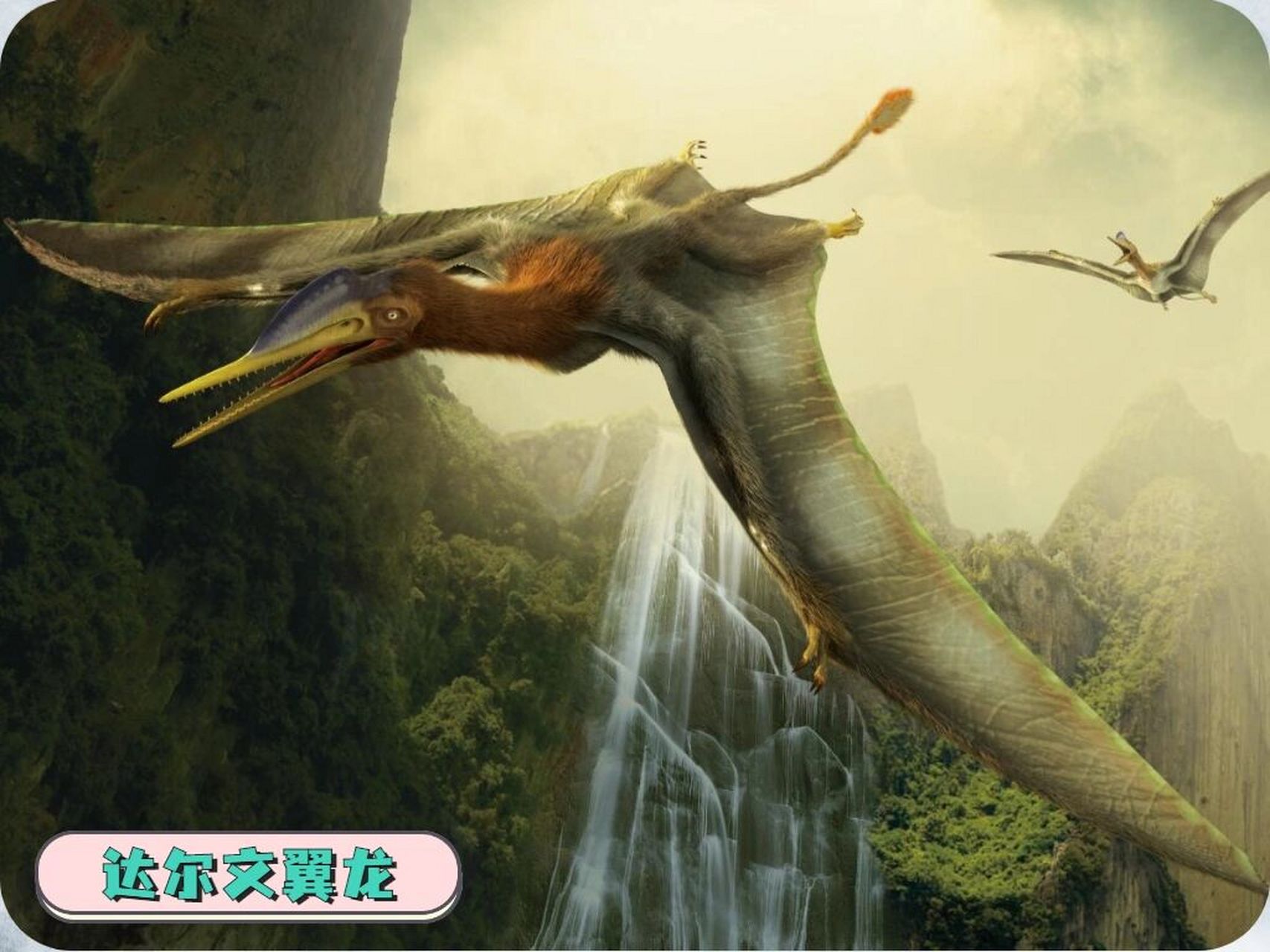 97宝藏知识97重返恐龙时代6015建议收藏 恐龙时代的天空中飞