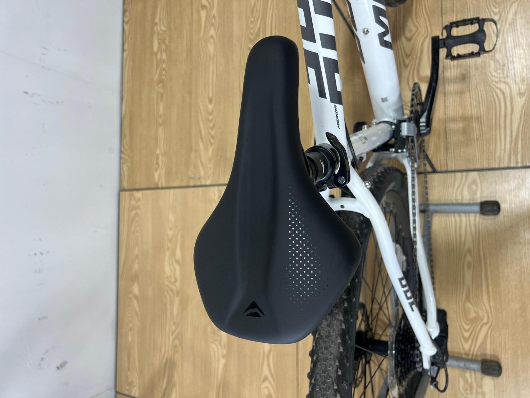 merior 美利达 公爵300 9.