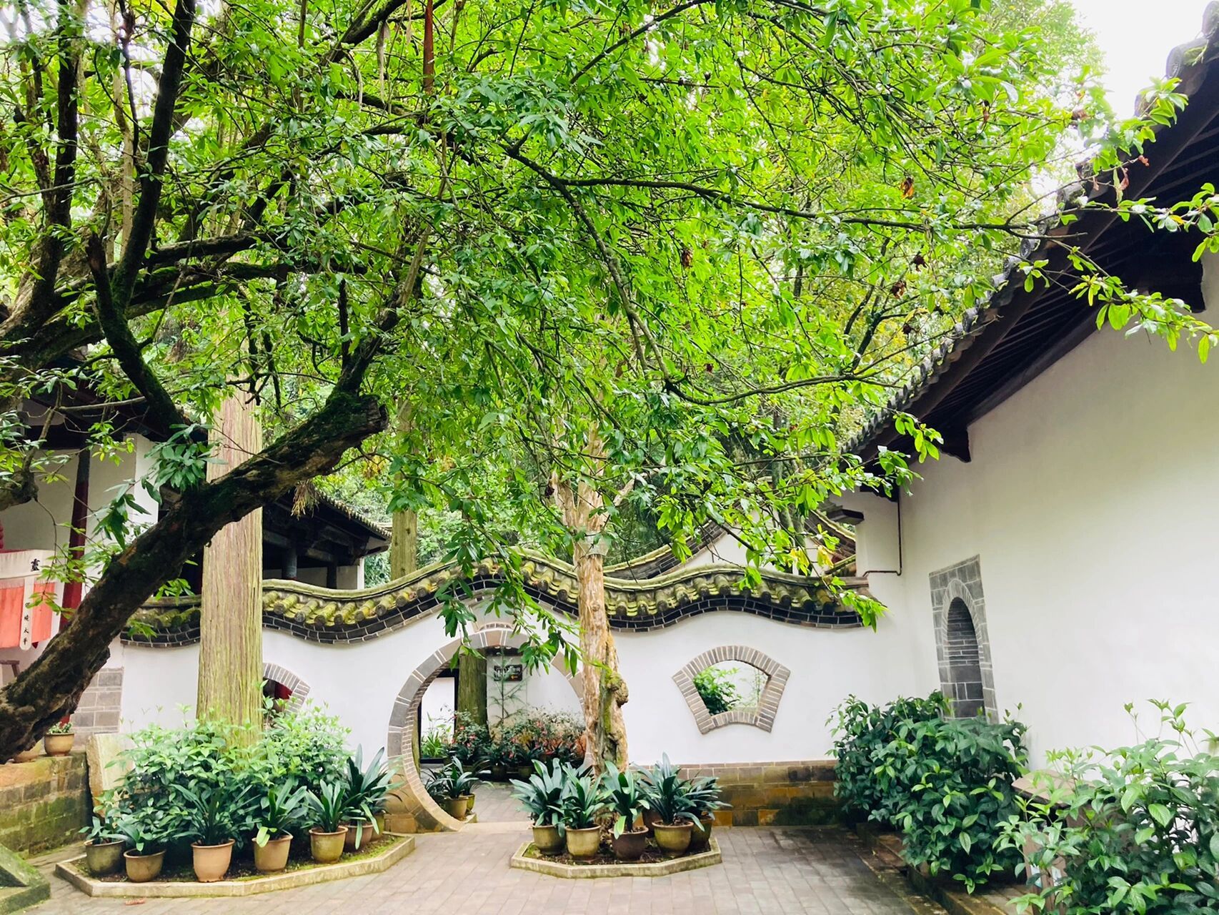 云南通海秀山公园 中国足迹石屏龙韵养生谷2日游——day1 通海秀山