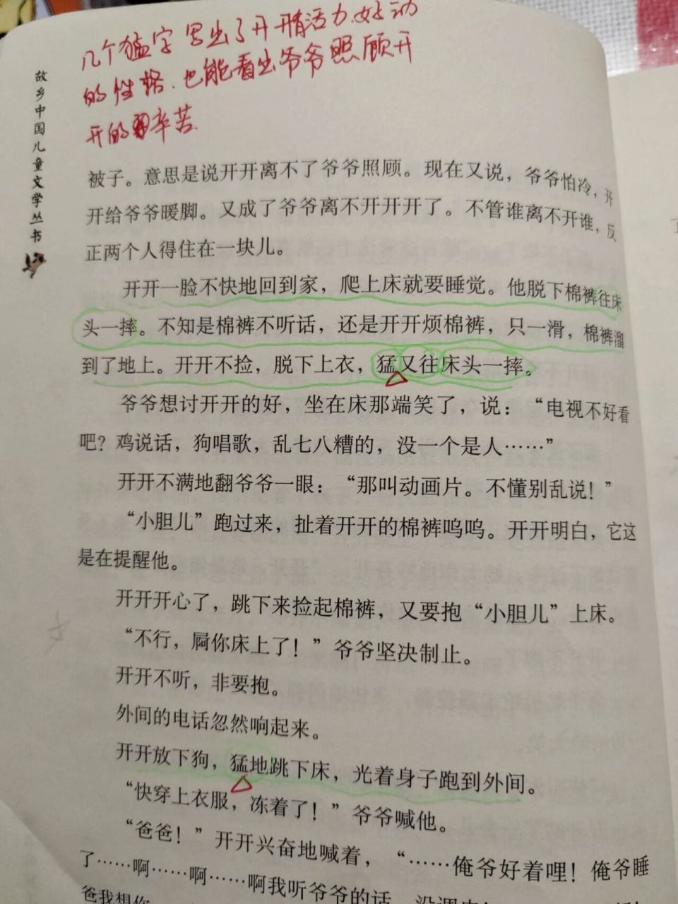 寒假好书推荐|《念书的孩子》值得阅读摘抄  这本书是以留守儿童为