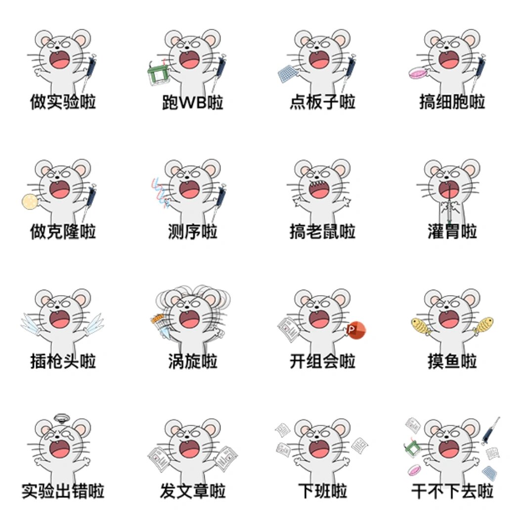 生物实验表情包|大鼠喊你做实验啦