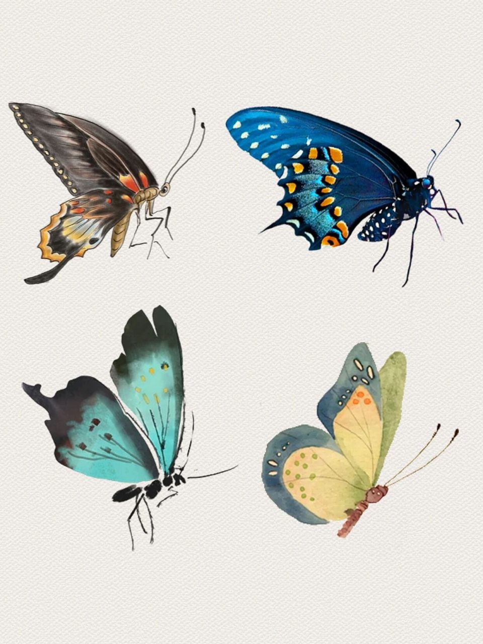 手绘水彩创意小清新蝴蝶03免抠png透明素材 哈喽,天气变冷了,宝宝们